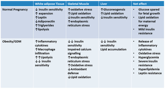 How Severe Maternal Inflammation Can >> Ijms Free Full Text Maternal B Cell Adaptations In Pregnancy And How Severe Maternal Inflammation Can >> Ijms Free Full Text Maternal B Cell Adaptations In Pregnancy And