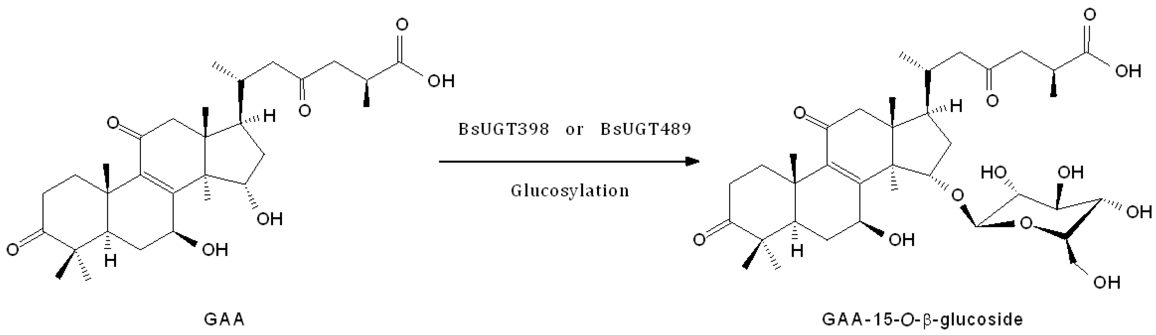 Ijms 19 03469 g005 Ijms 19 03469 g005