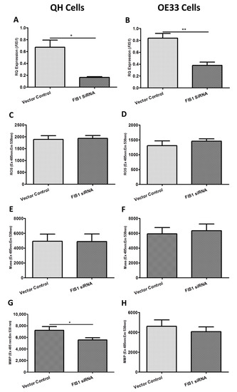IJMS | Free Full-Text | The Mitochondrial Genes BAK1, FIS1 and SFN are ...