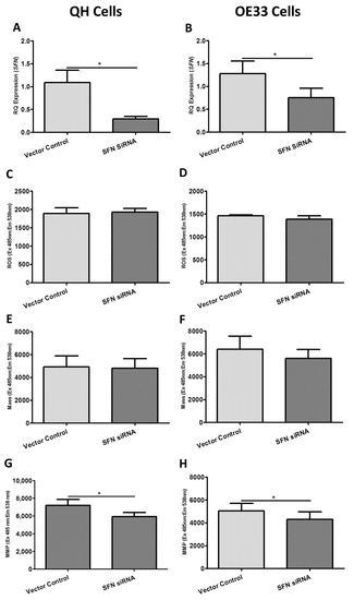 The Mitochondrial Genes BAK1, FIS1 and SFN are Linked with Alterations ...