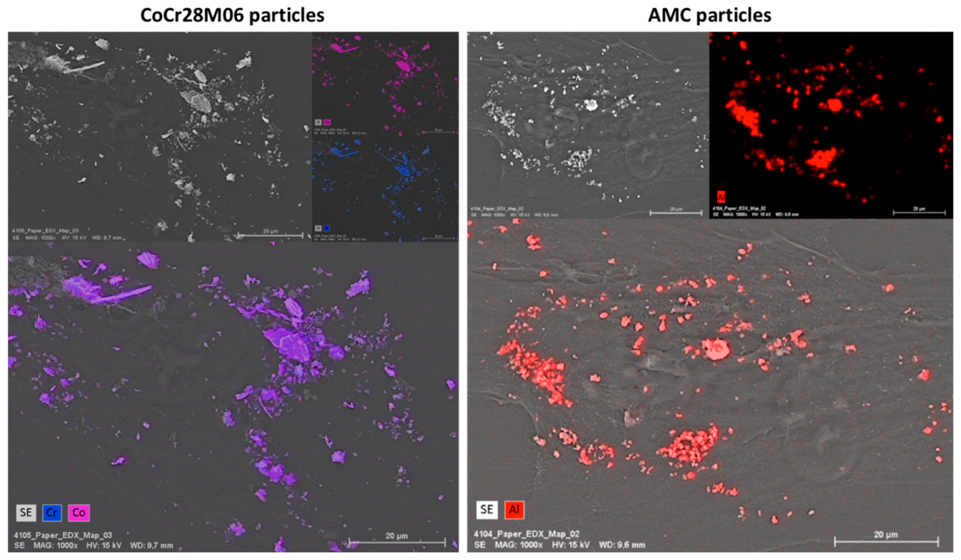 Ijms 19 03486 g005 Ijms 19 03486 g005