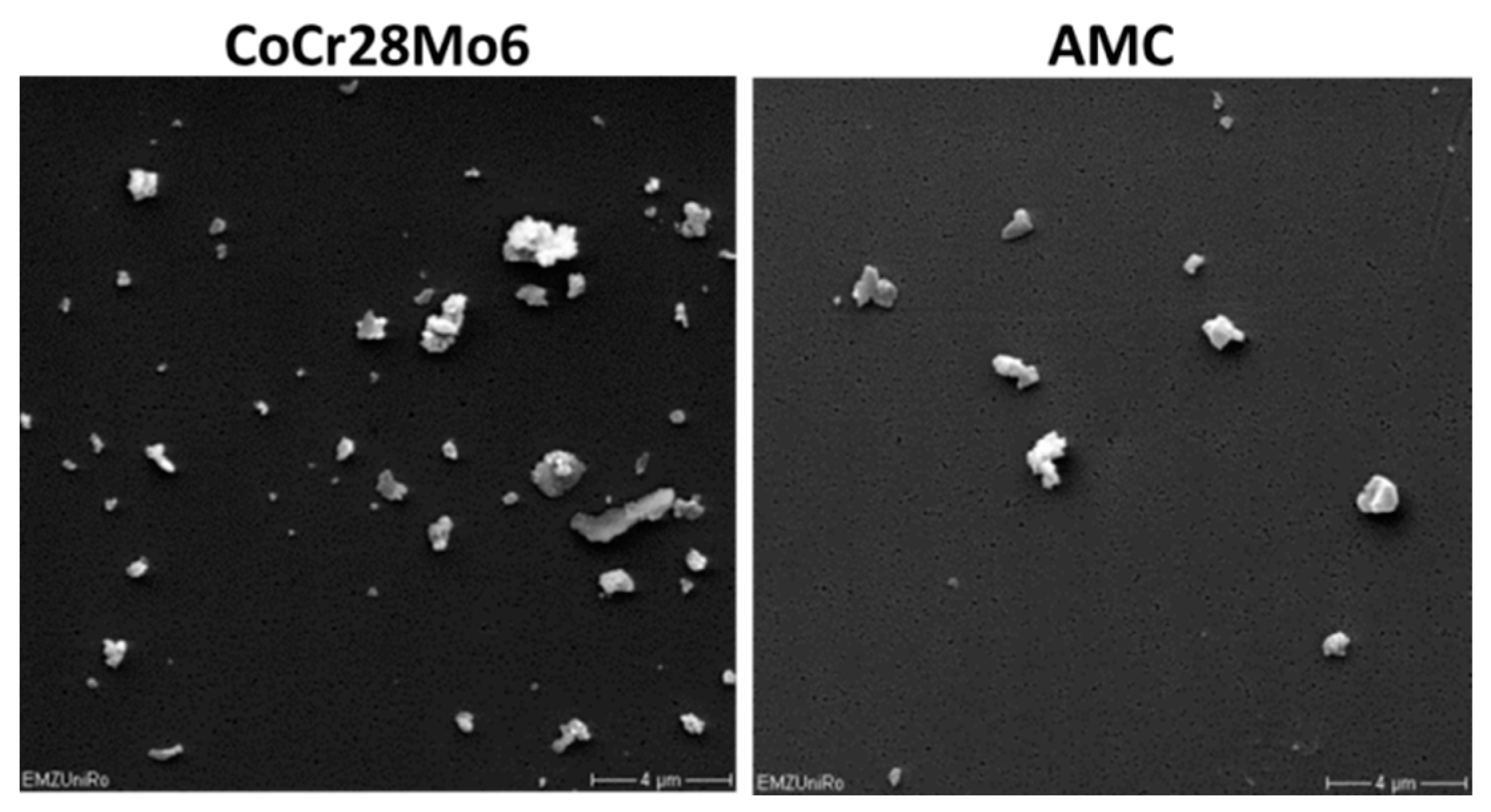 Ijms 19 03486 g007 Ijms 19 03486 g007