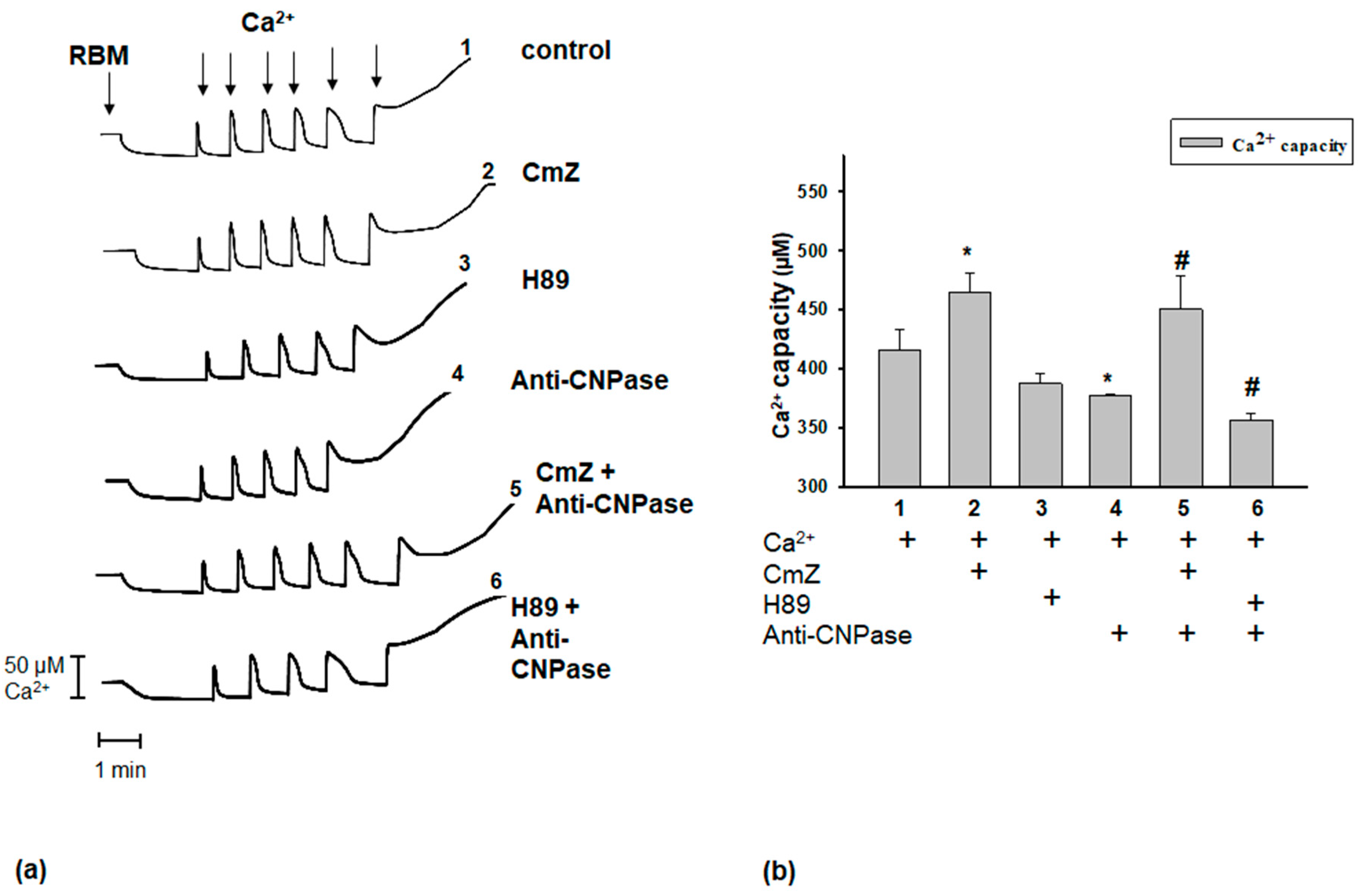 Ijms 19 03499 g001 Ijms 19 03499 g001