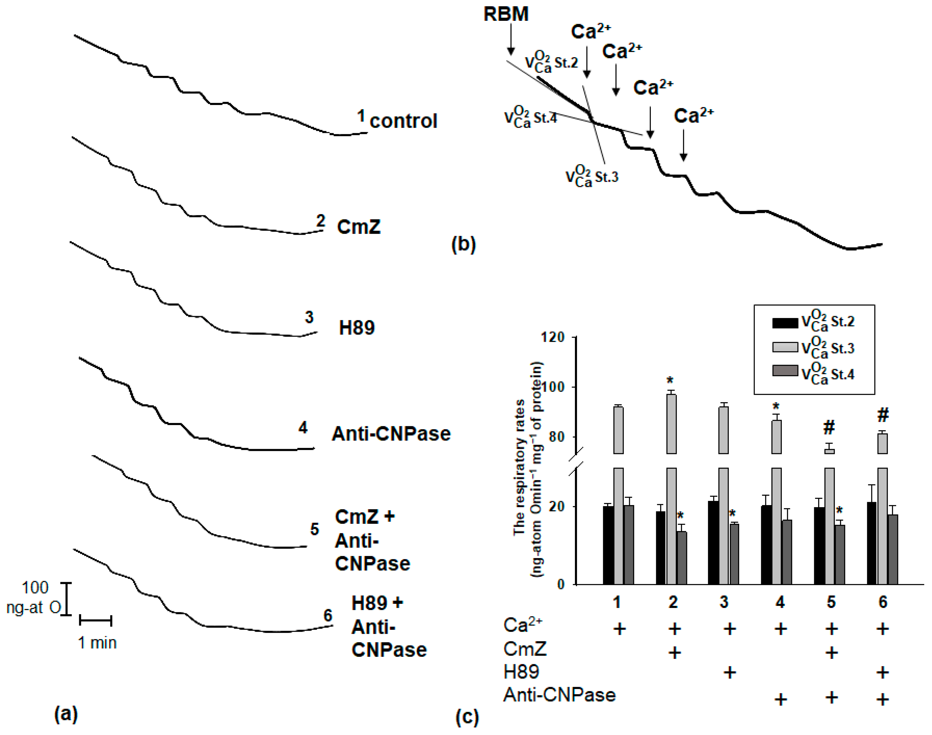 Ijms 19 03499 g002 Ijms 19 03499 g002