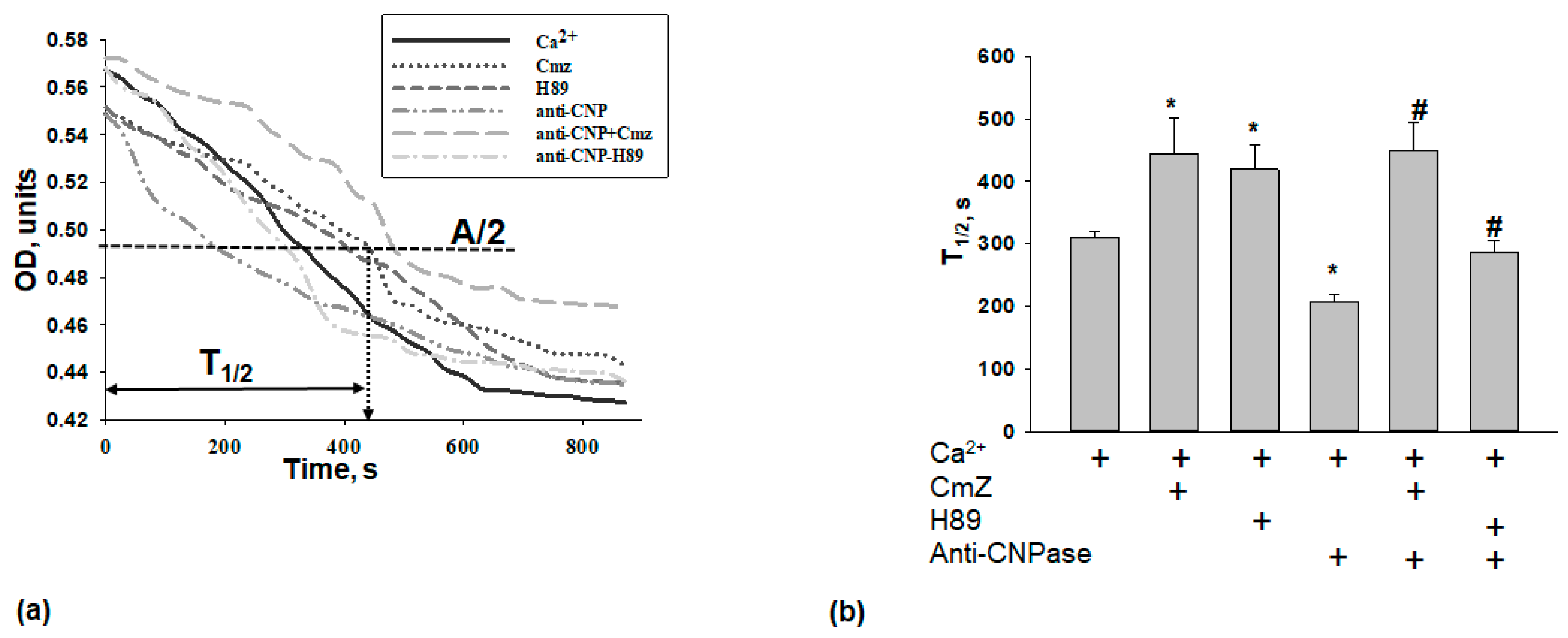 Ijms 19 03499 g003 Ijms 19 03499 g003