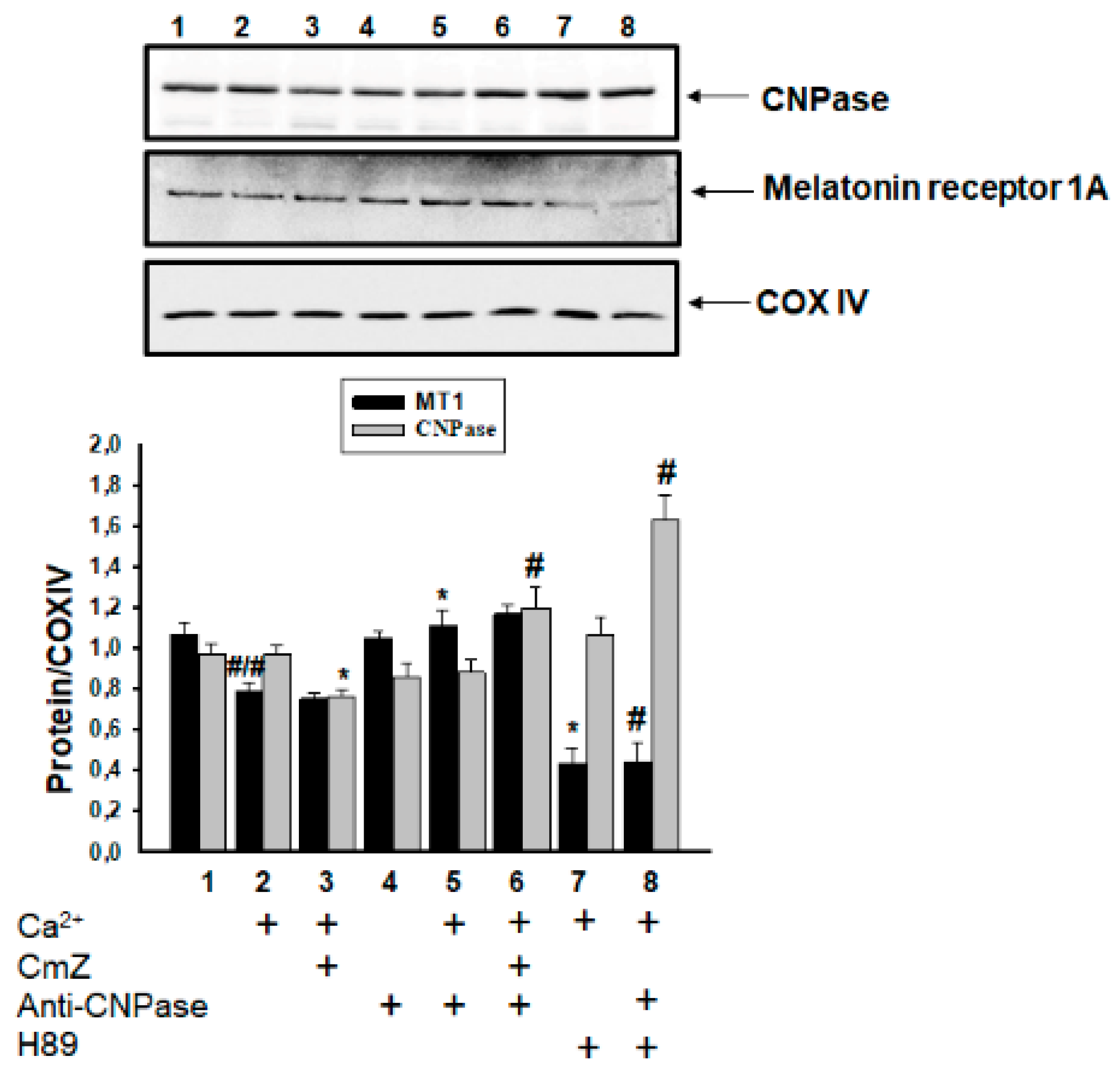 Ijms 19 03499 g005 Ijms 19 03499 g005