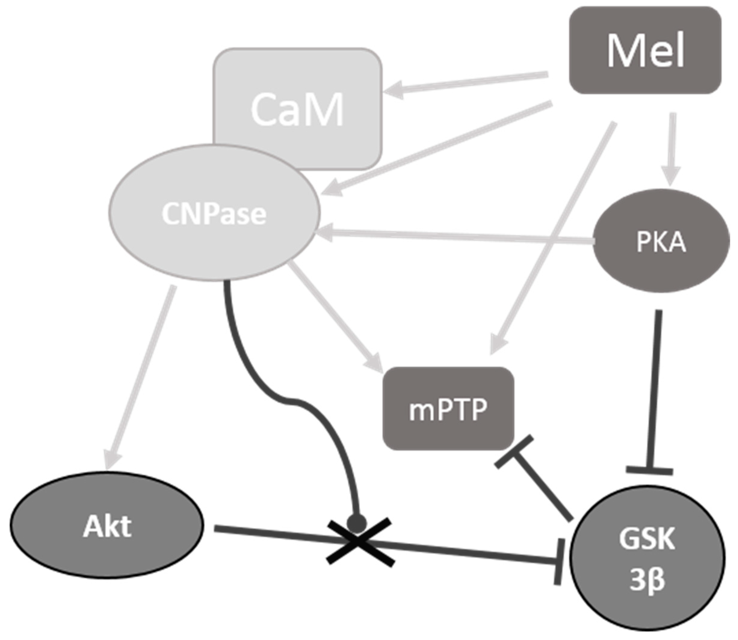 Ijms 19 03499 g006 Ijms 19 03499 g006