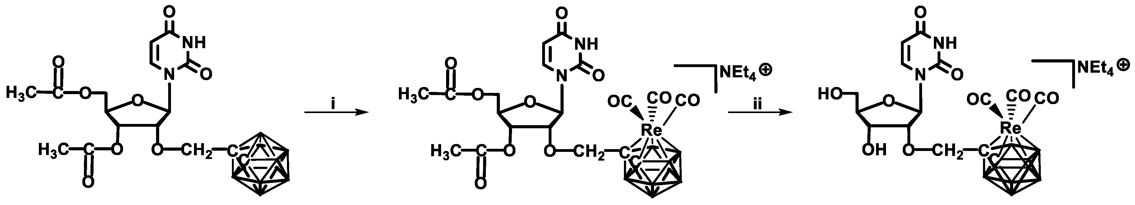 Ijms 19 03501 sch005