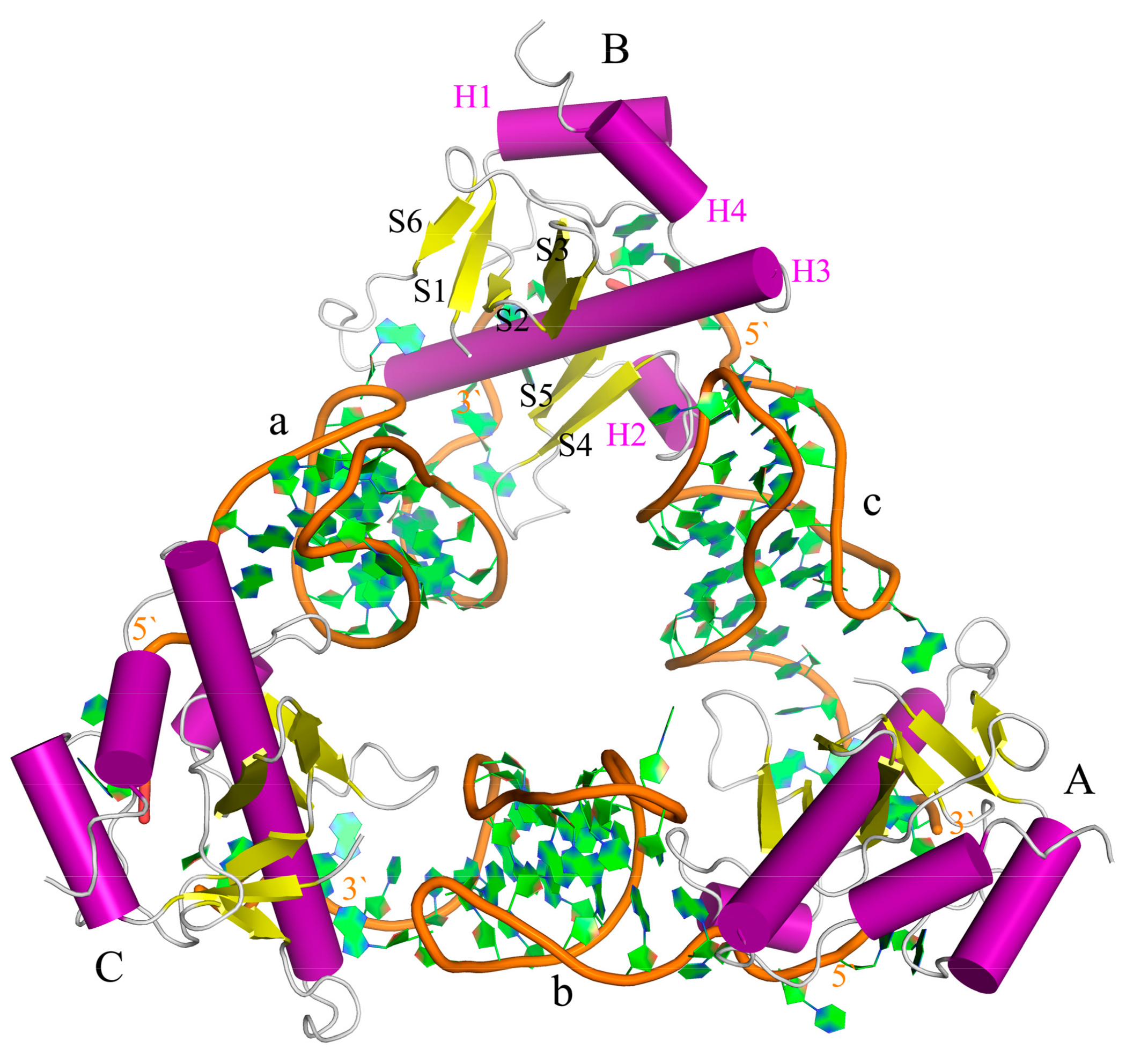 Ijms 19 03524 g001
