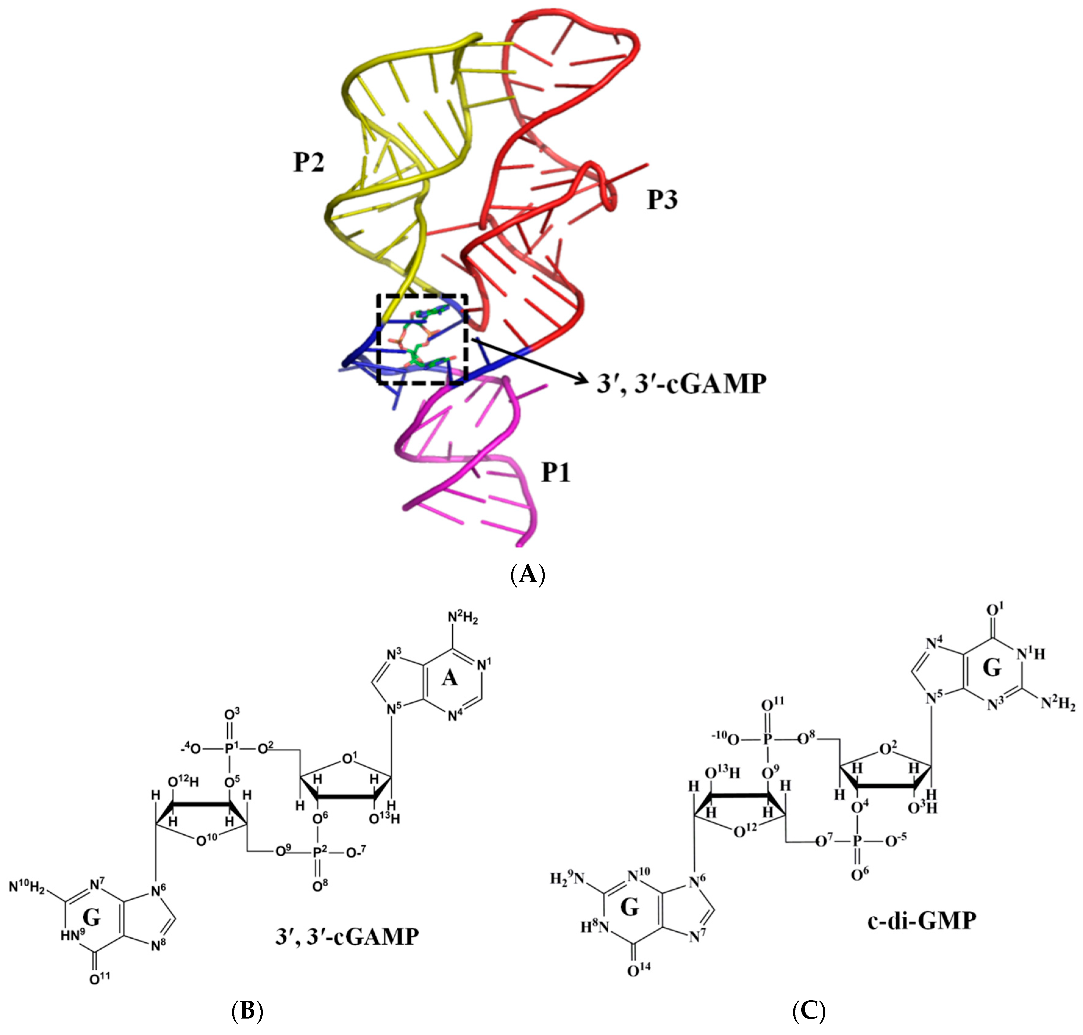 Ijms 19 03527 g001 Ijms 19 03527 g001