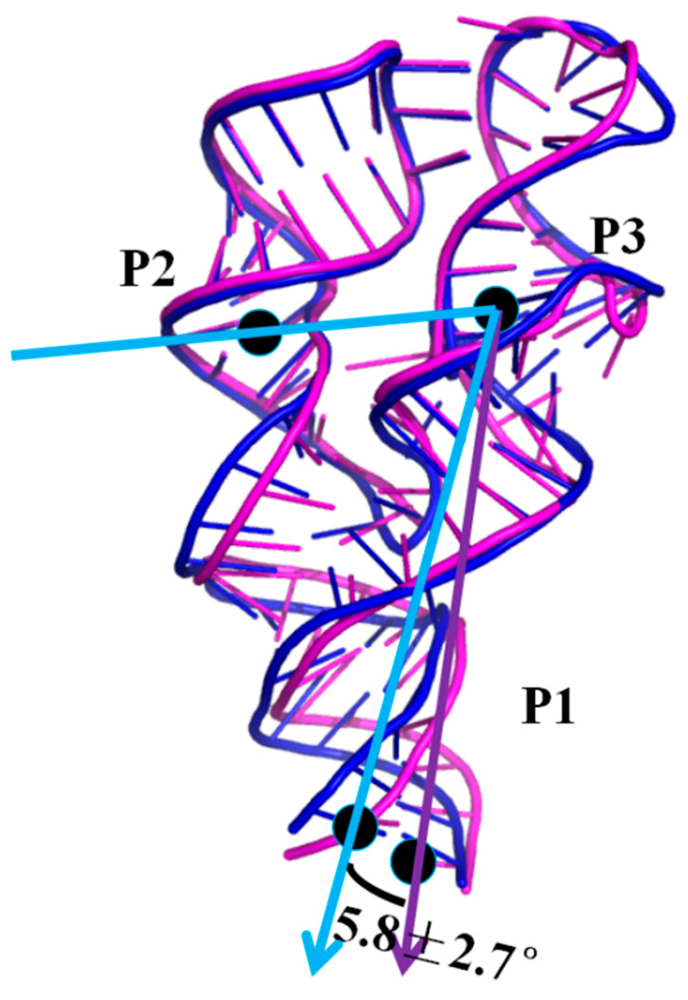 Ijms 19 03527 g005 Ijms 19 03527 g005