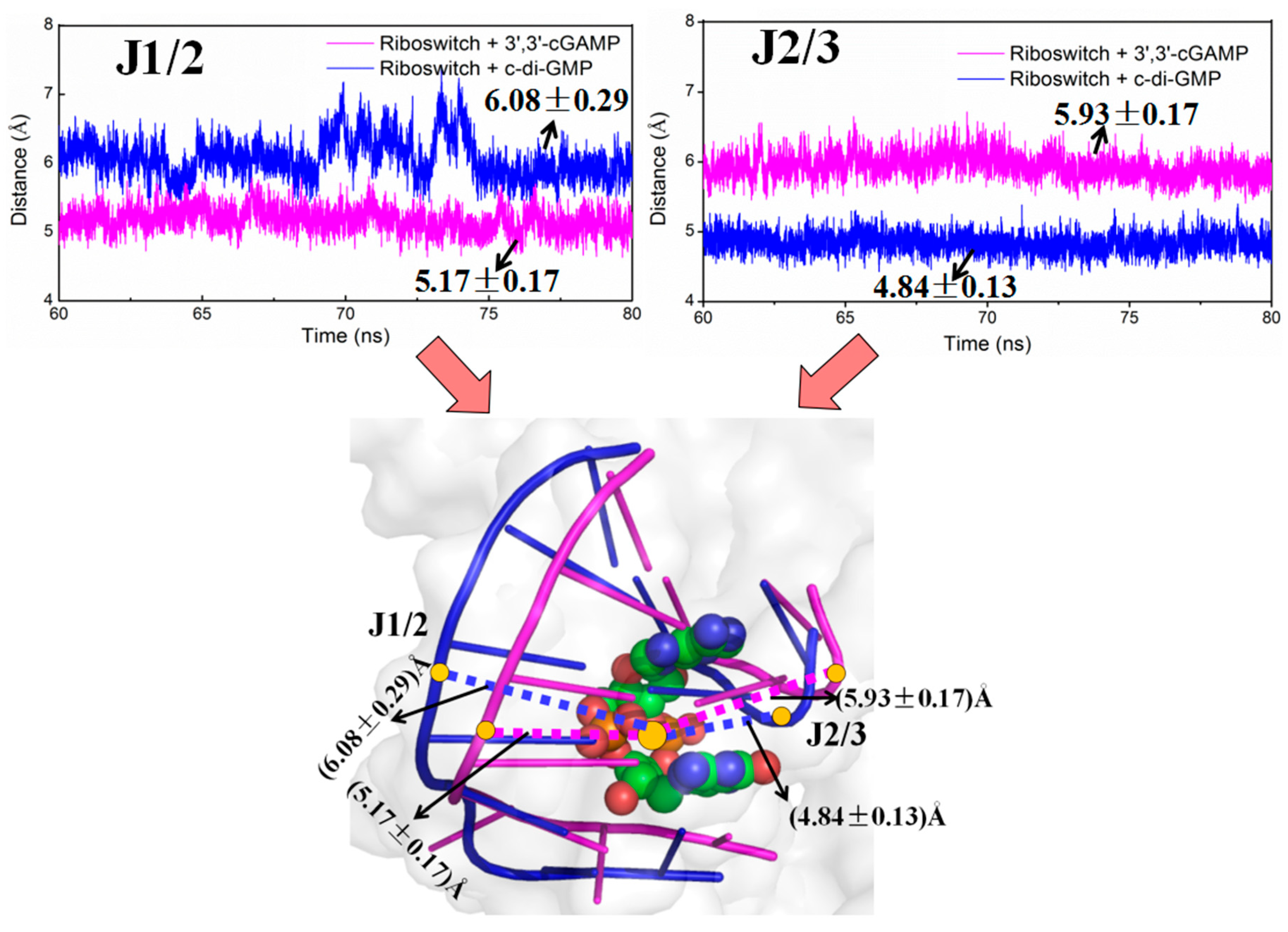 Ijms 19 03527 g006 Ijms 19 03527 g006
