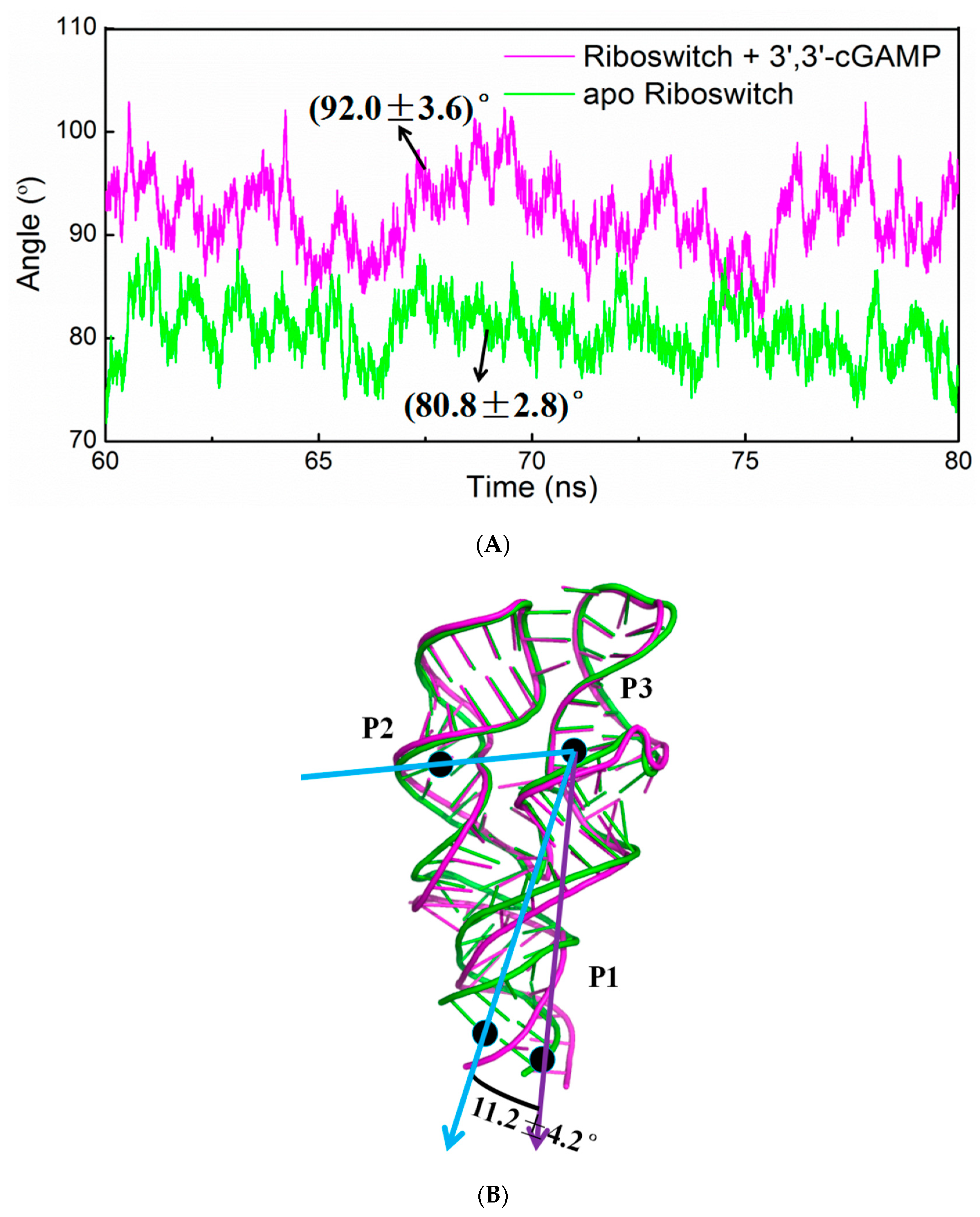 Ijms 19 03527 g007 Ijms 19 03527 g007