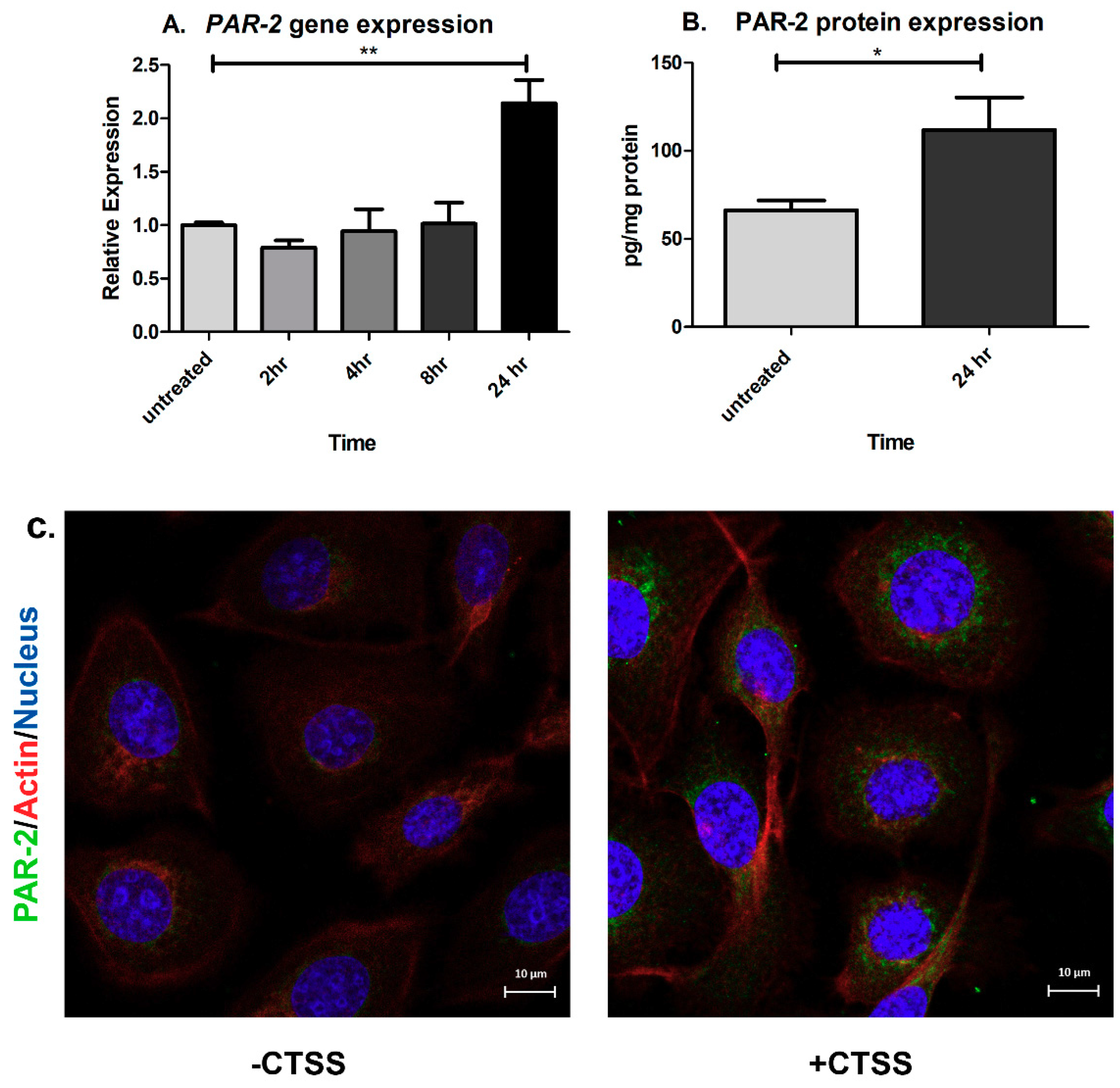 Ijms 19 03530 g004 Ijms 19 03530 g004