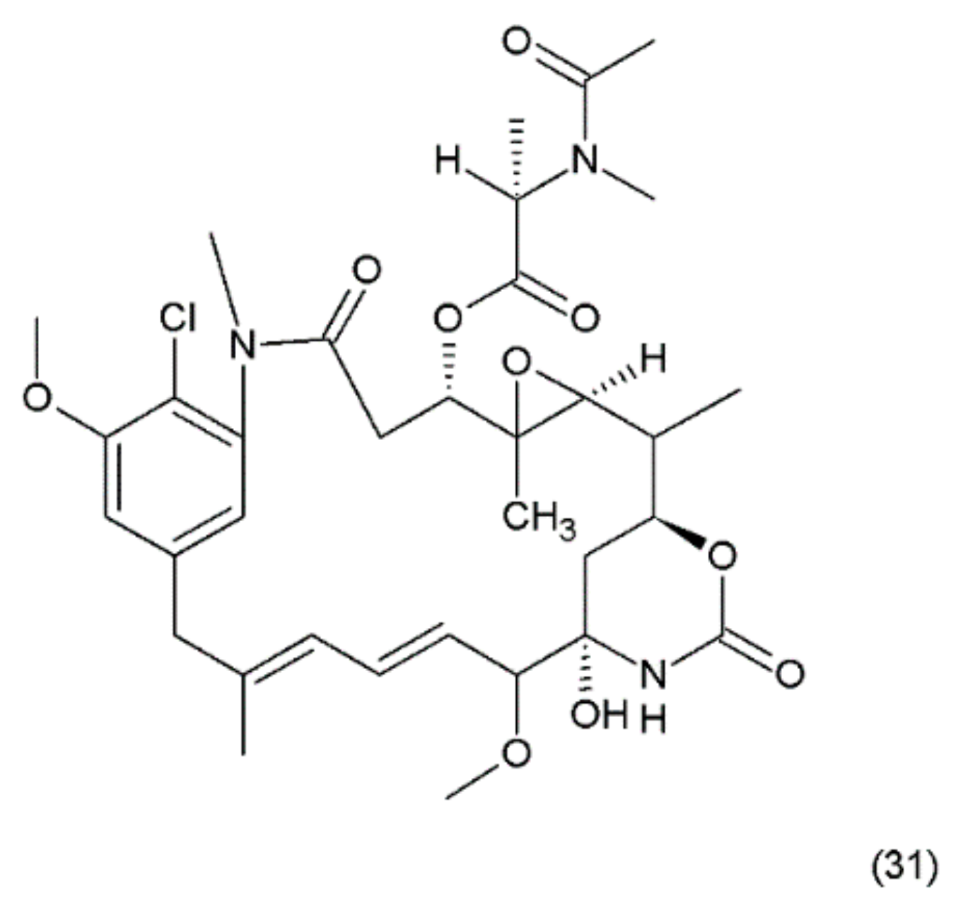 Ijms 19 03533 g019 Ijms 19 03533 g019