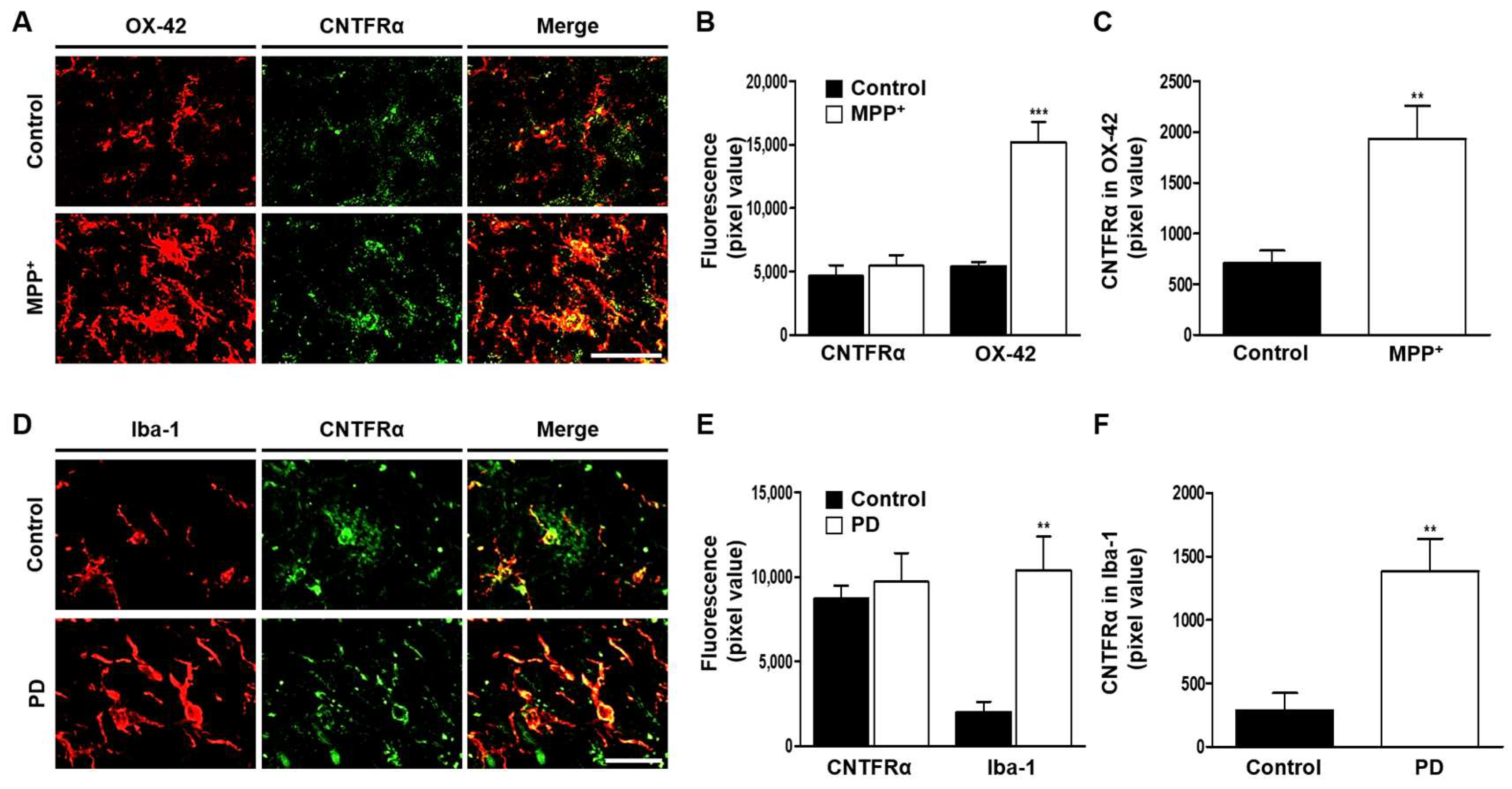 Ijms 19 03543 g004 Ijms 19 03543 g004