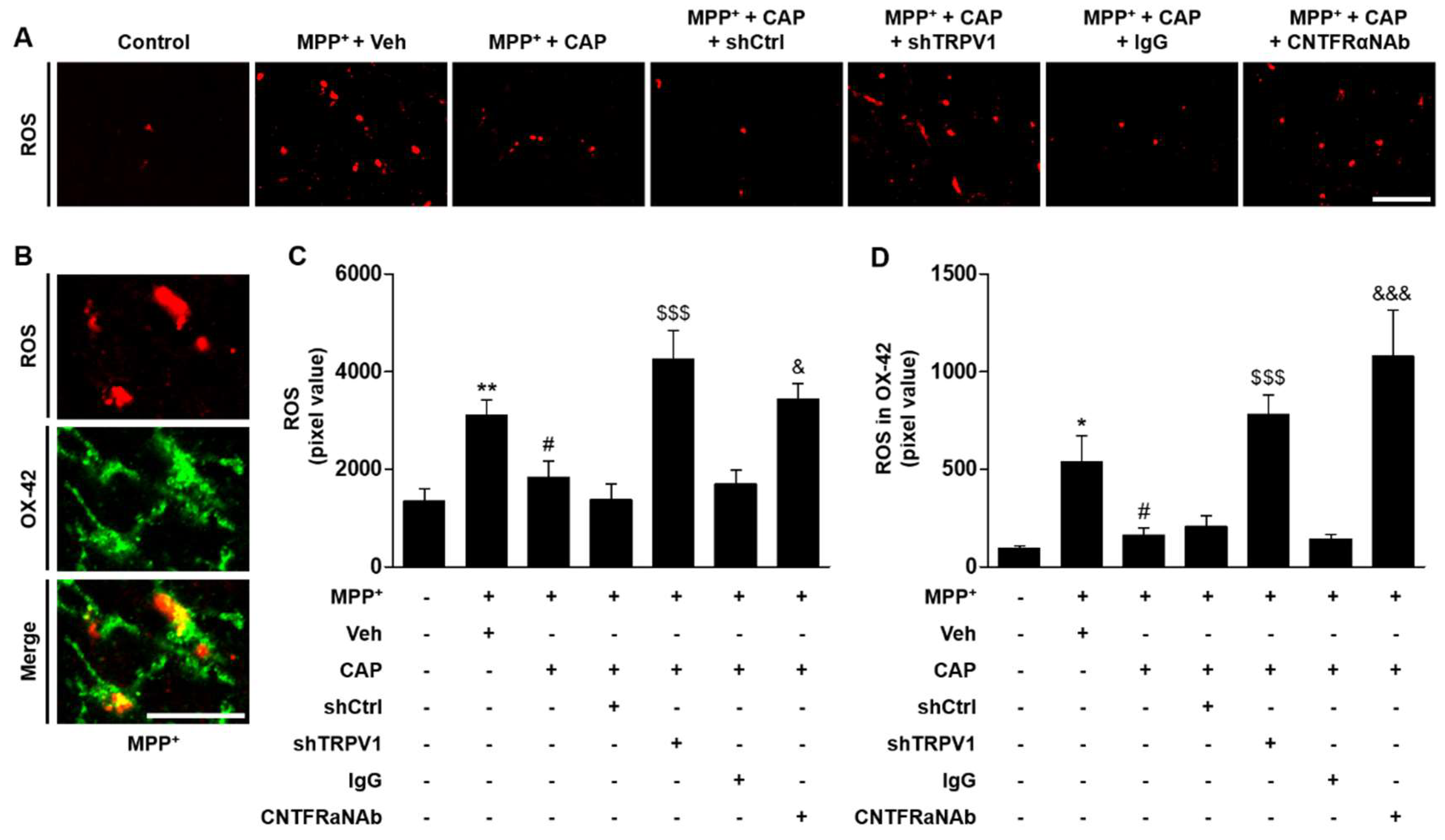 Ijms 19 03543 g006 Ijms 19 03543 g006