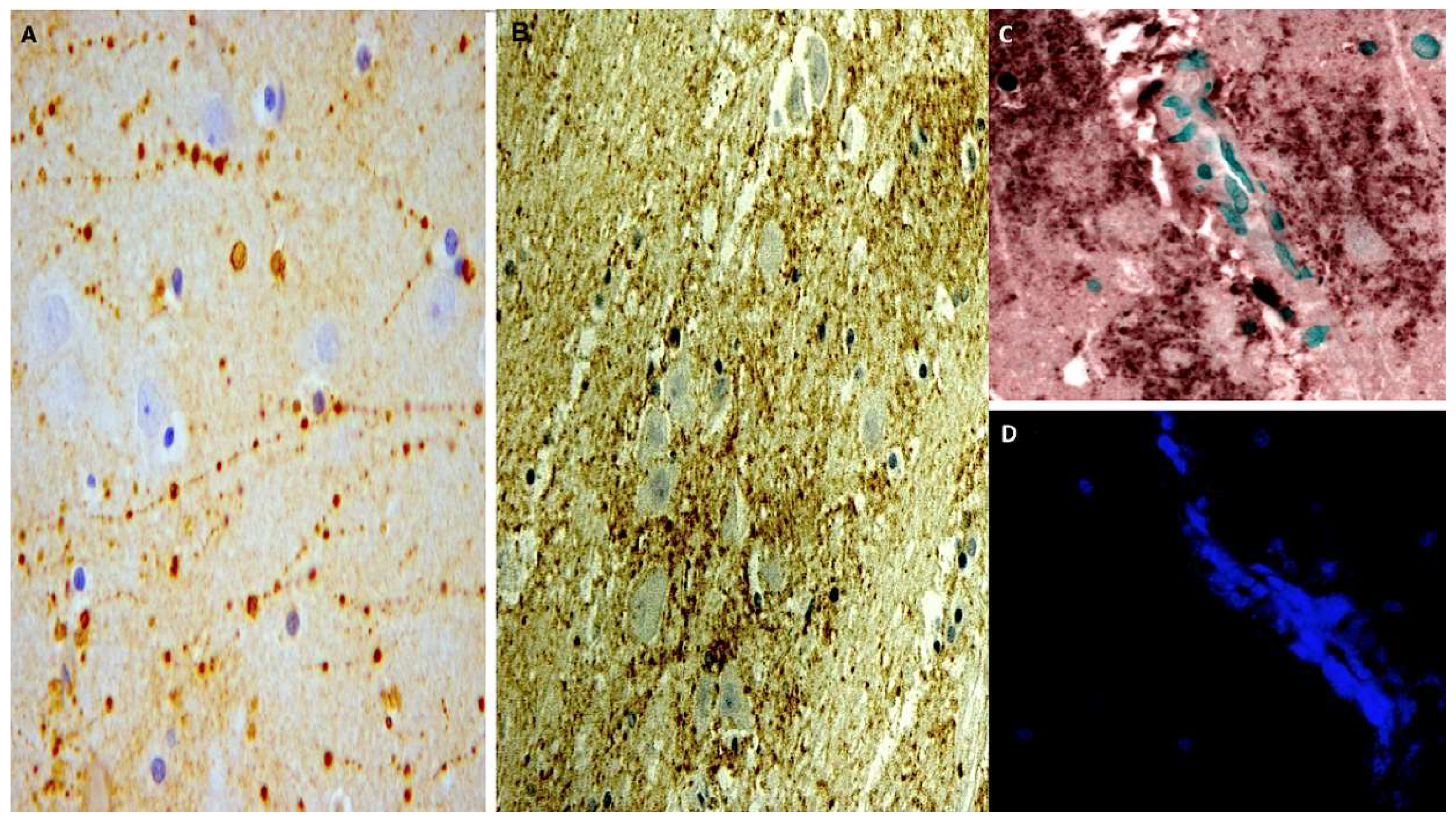 Ijms 19 03544 g006 Ijms 19 03544 g006