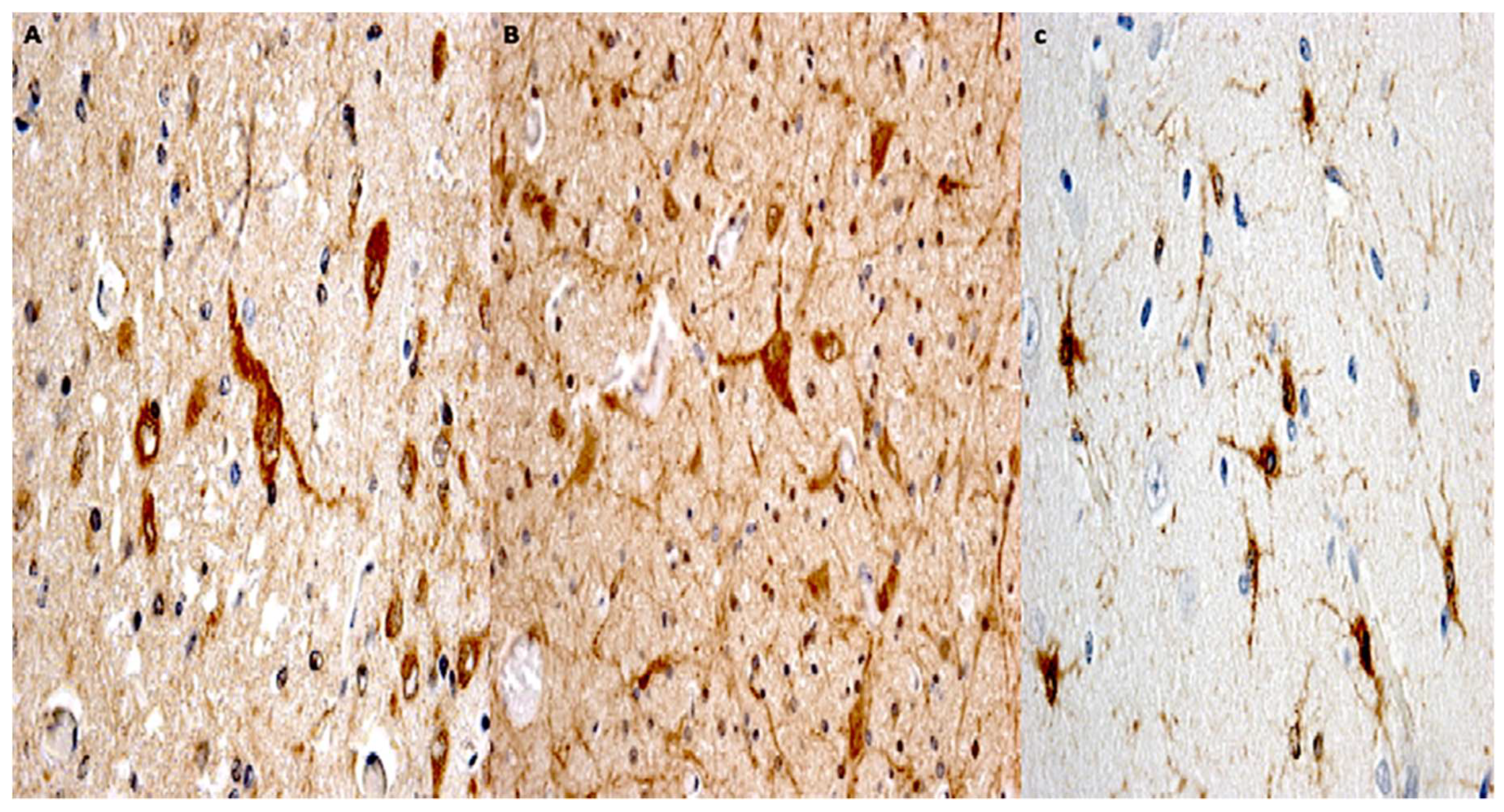 Ijms 19 03544 g008 Ijms 19 03544 g008