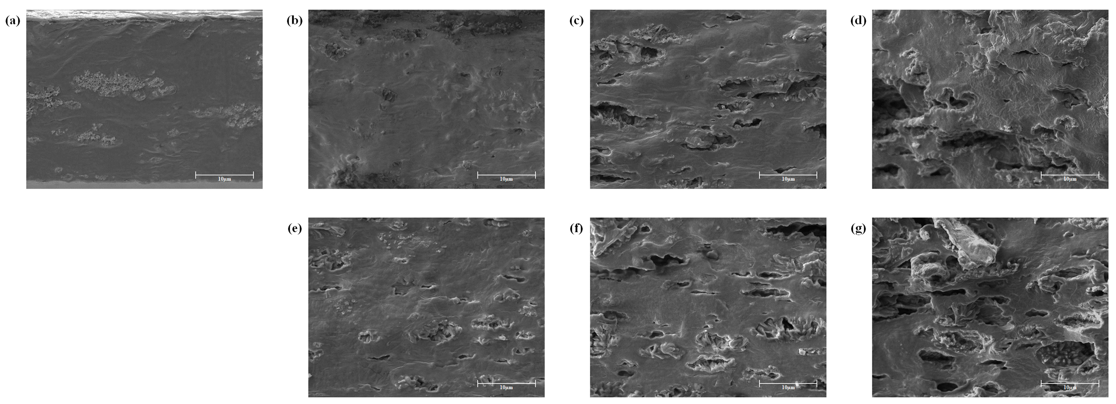 Ijms 19 03545 g002 550