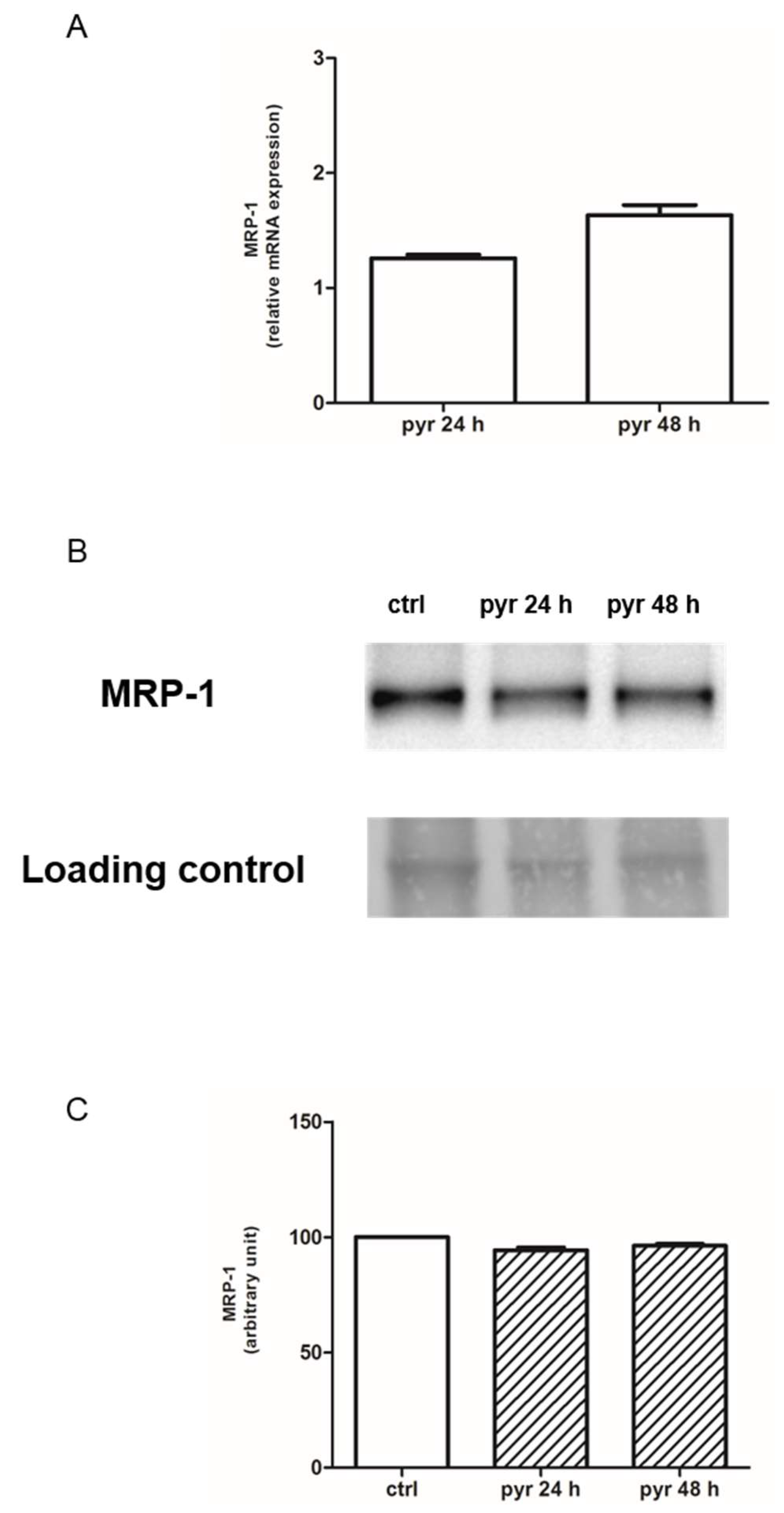 Ijms 19 03550 g008 Ijms 19 03550 g008