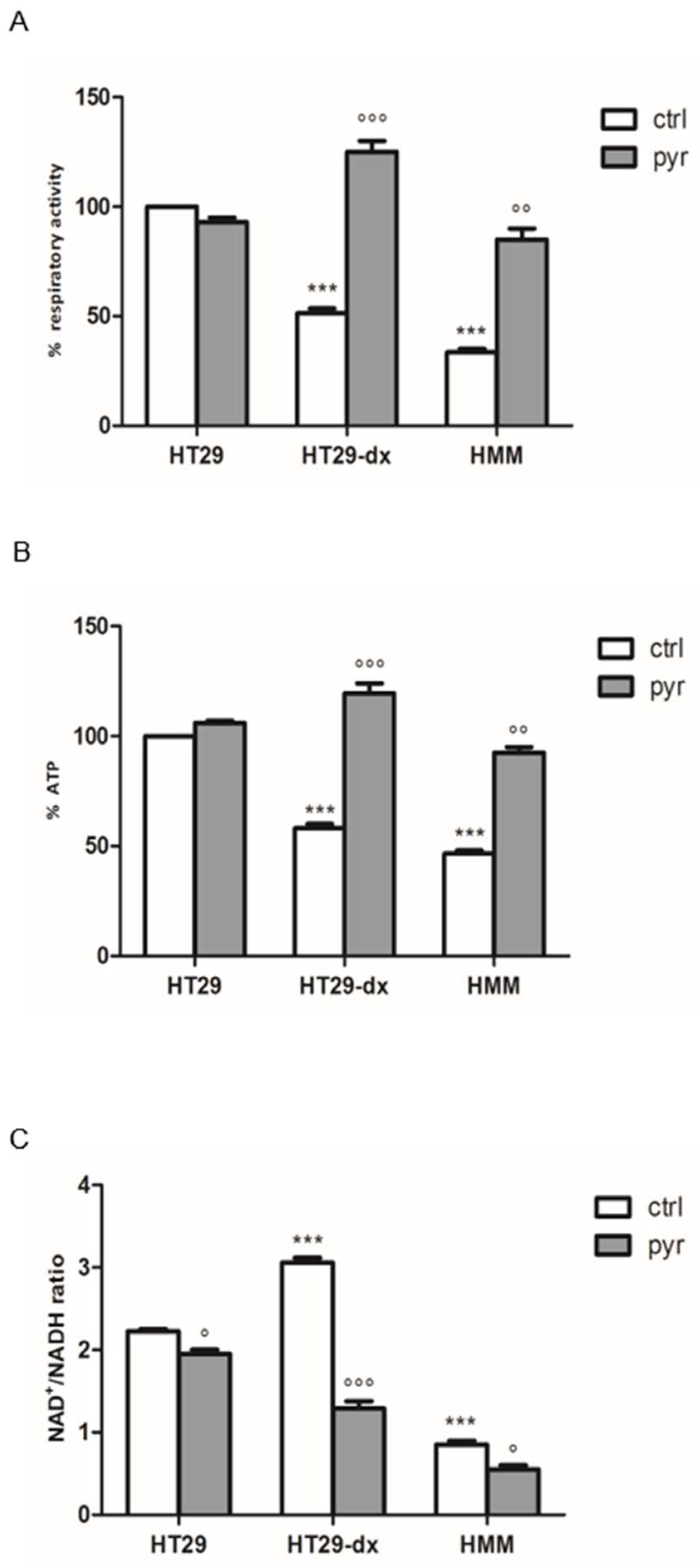 Ijms 19 03550 g014 Ijms 19 03550 g014