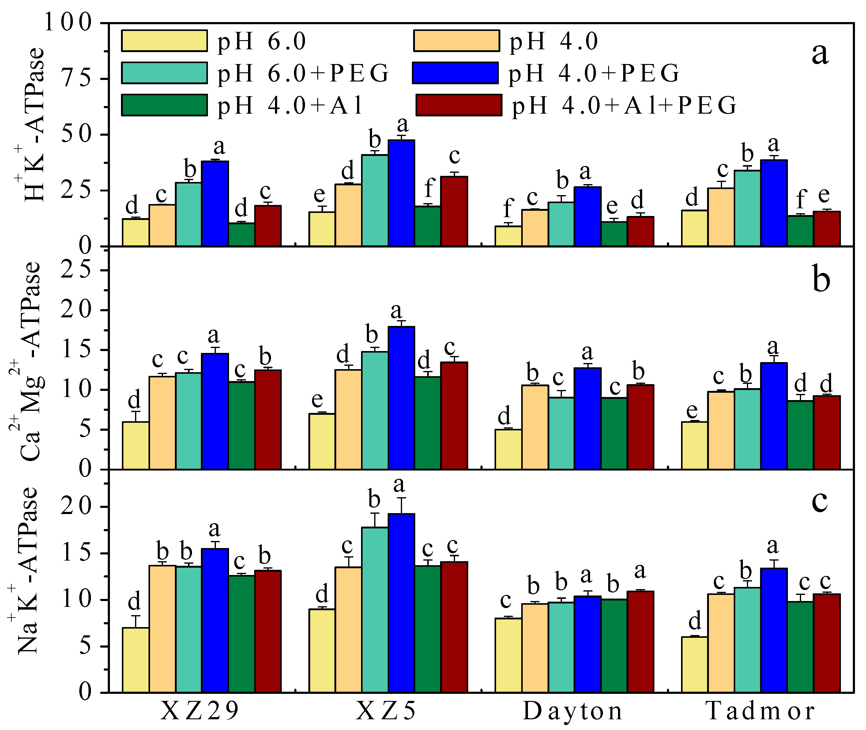 Ijms 19 03553 g001 Ijms 19 03553 g001