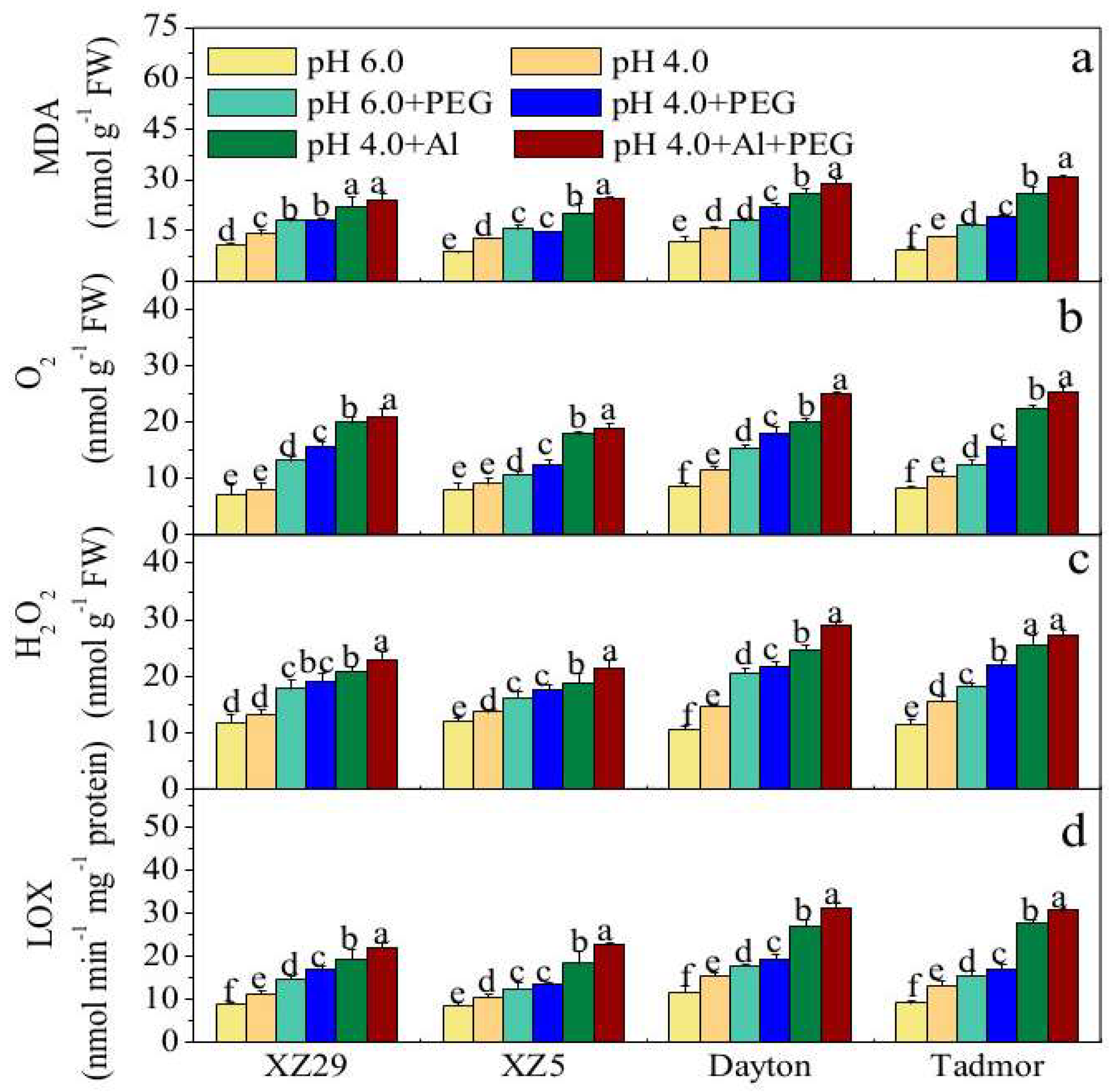 Ijms 19 03553 g002 Ijms 19 03553 g002
