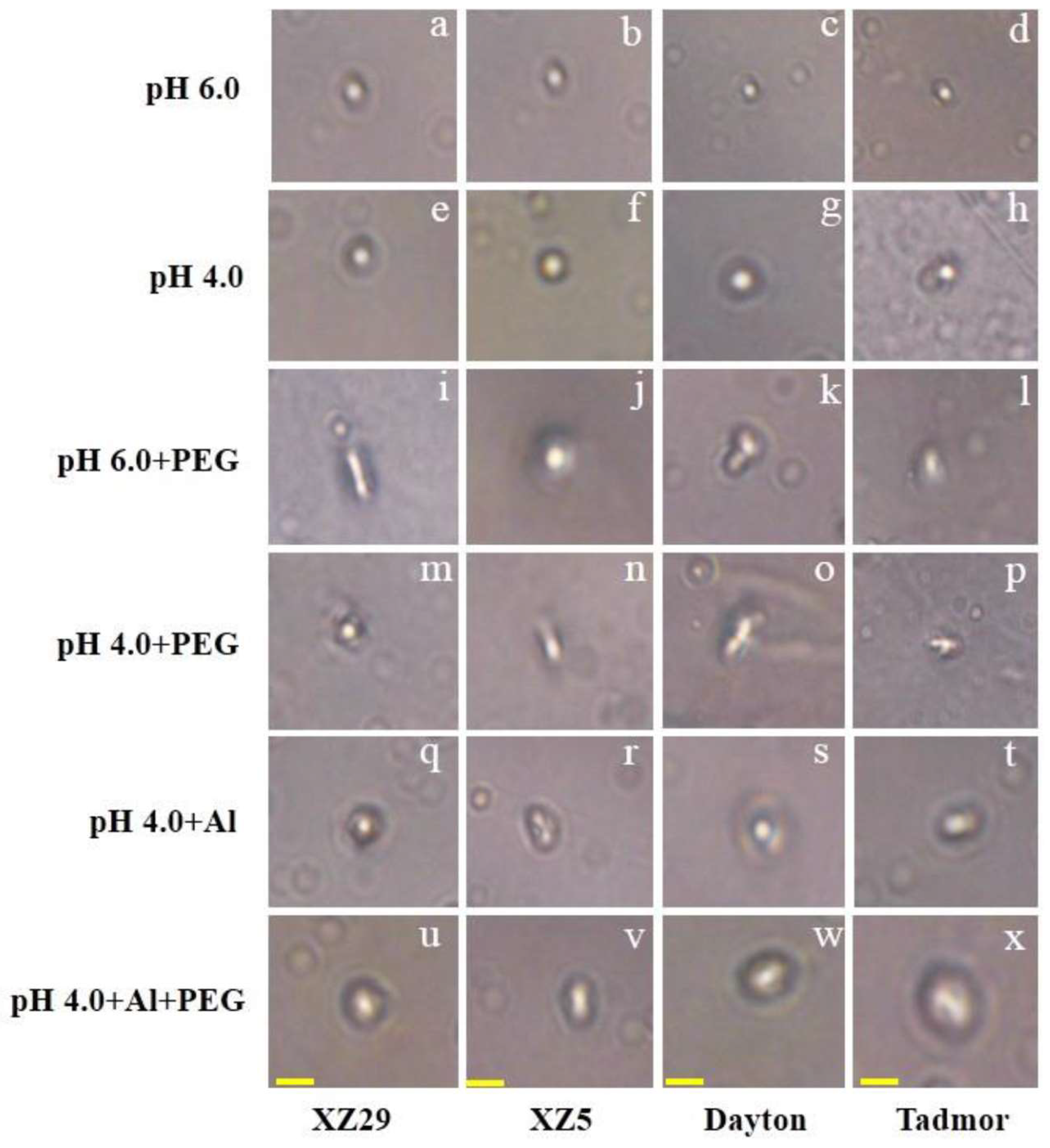 Ijms 19 03553 g006 Ijms 19 03553 g006