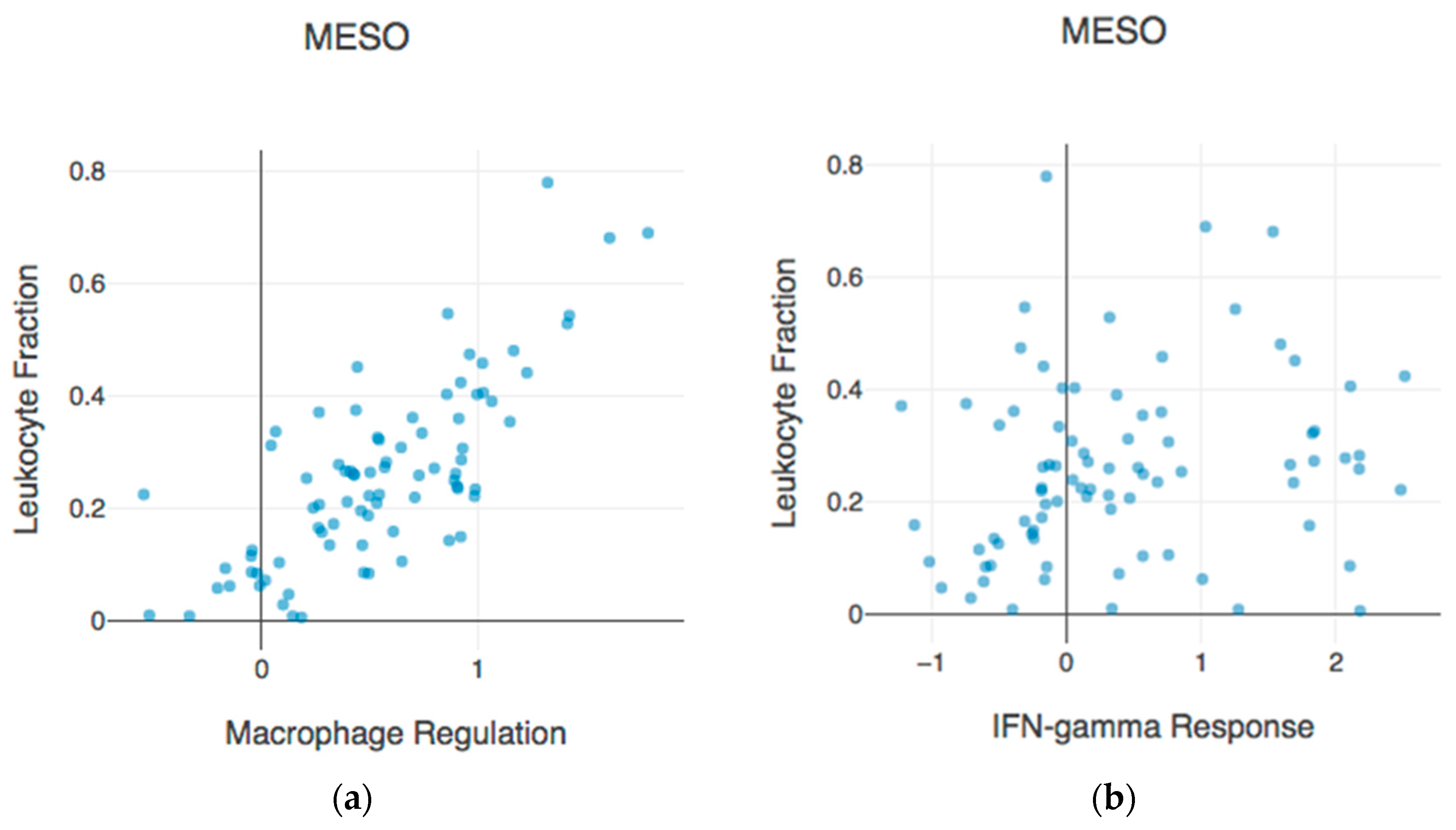 epithelioid mesothelioma wikipedia