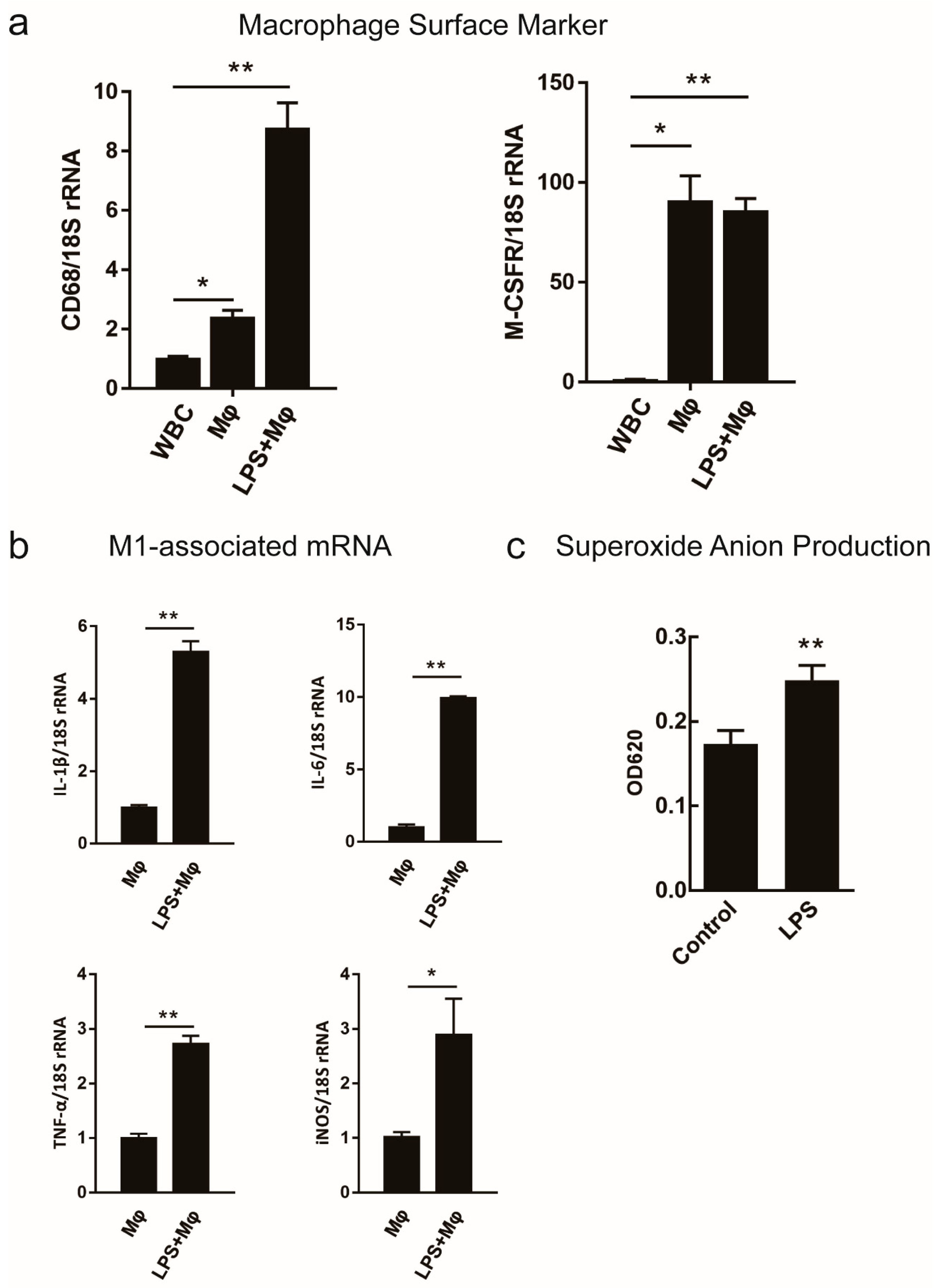 Ijms 19 03562 g002 Ijms 19 03562 g002