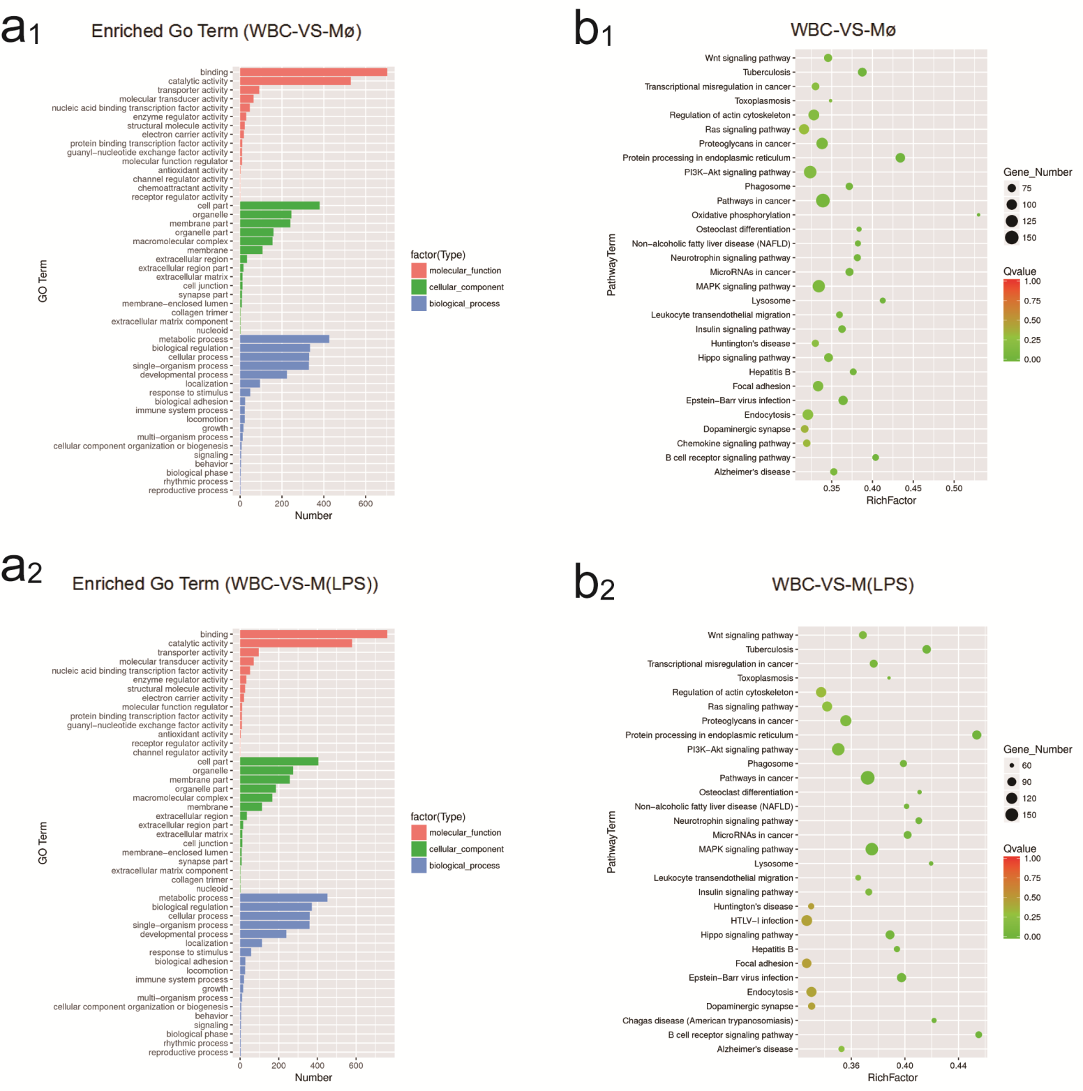 Ijms 19 03562 g004a Ijms 19 03562 g004a