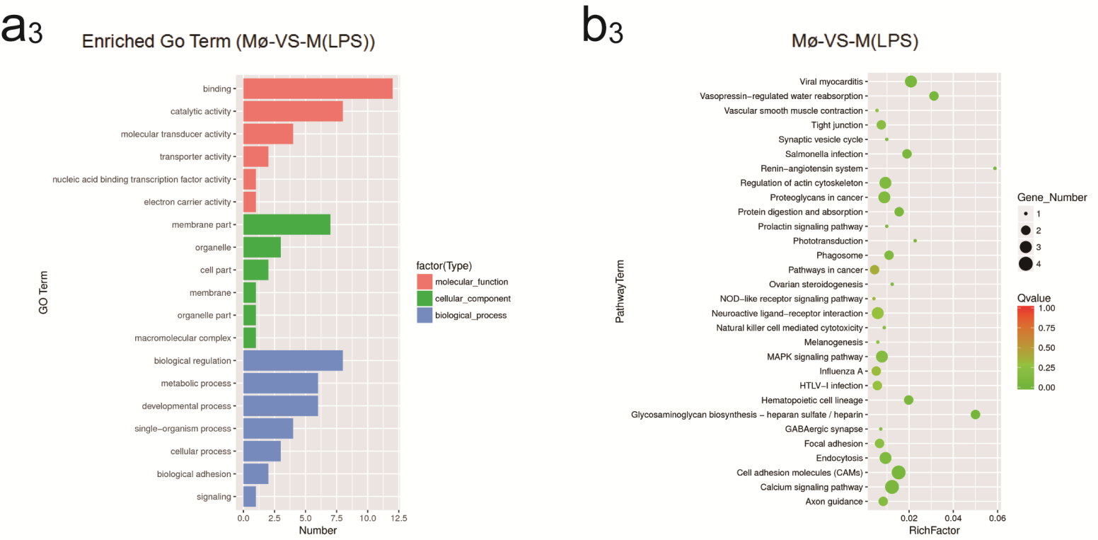 Ijms 19 03562 g004b Ijms 19 03562 g004b