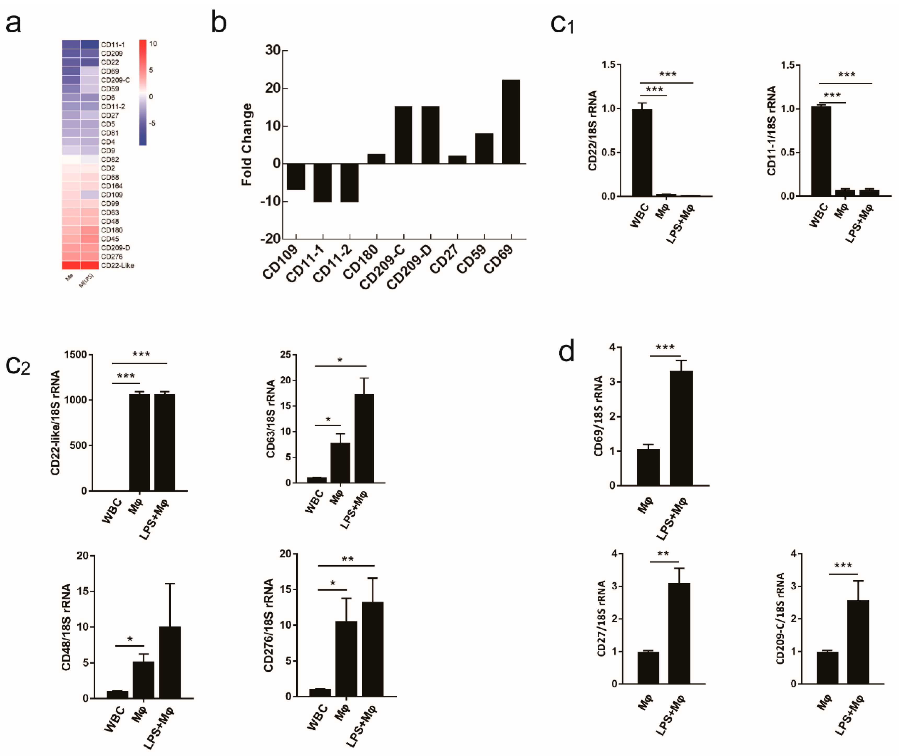 Ijms 19 03562 g005 Ijms 19 03562 g005