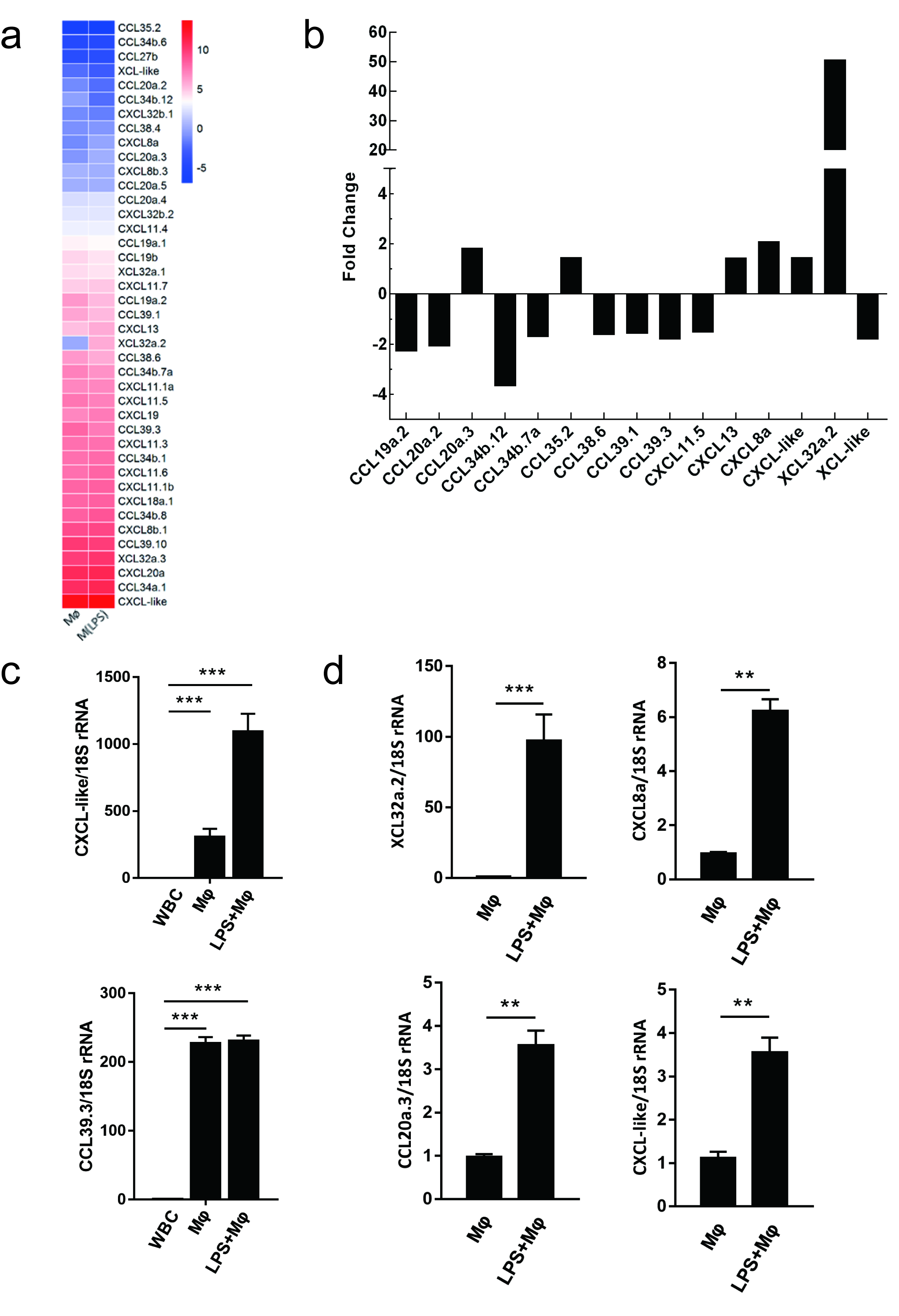 Ijms 19 03562 g006 Ijms 19 03562 g006