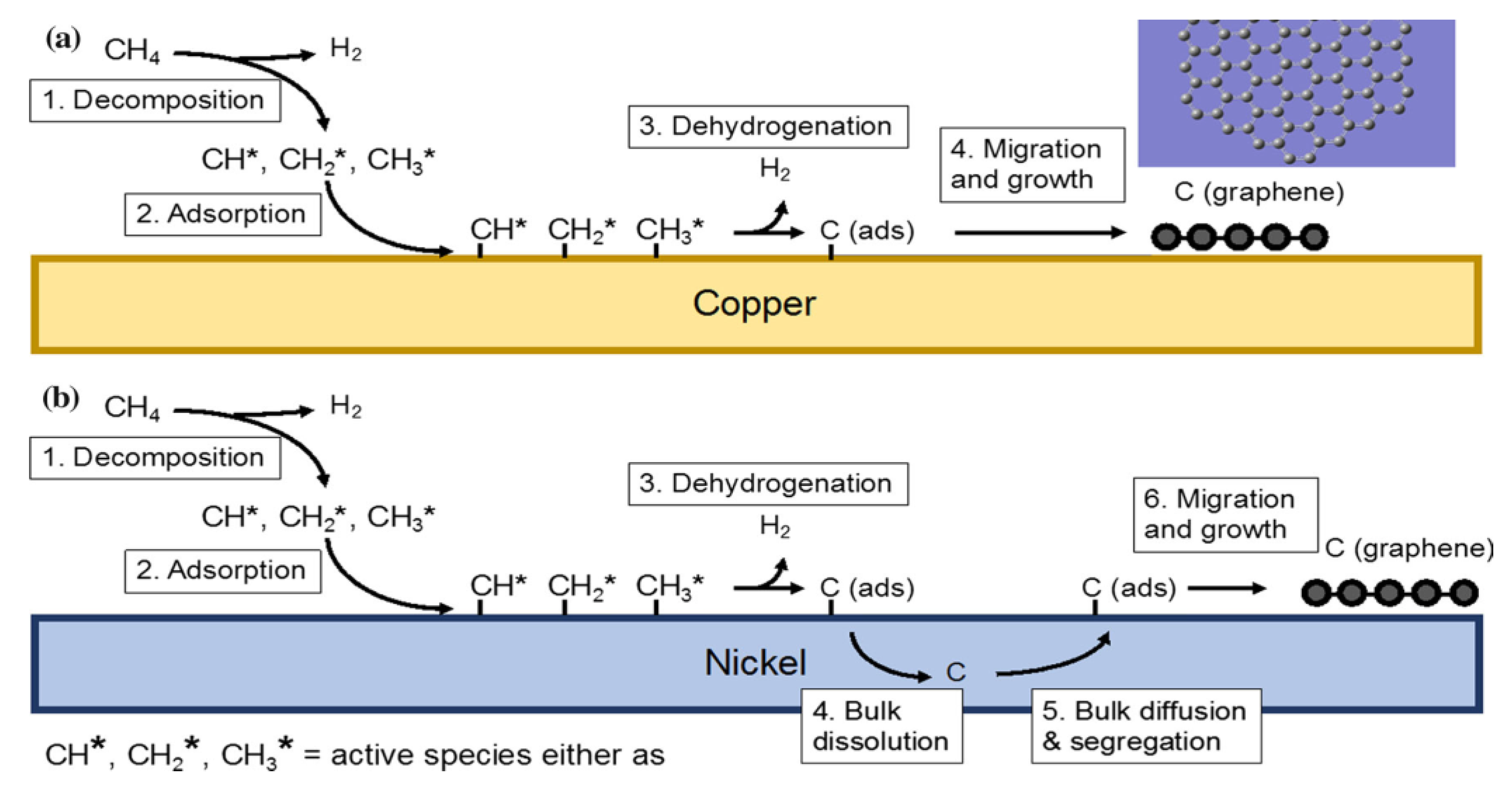 Ijms Free Full Text Graphene Nanomaterials Synthesis Biocompatibility And Cytotoxicity Html