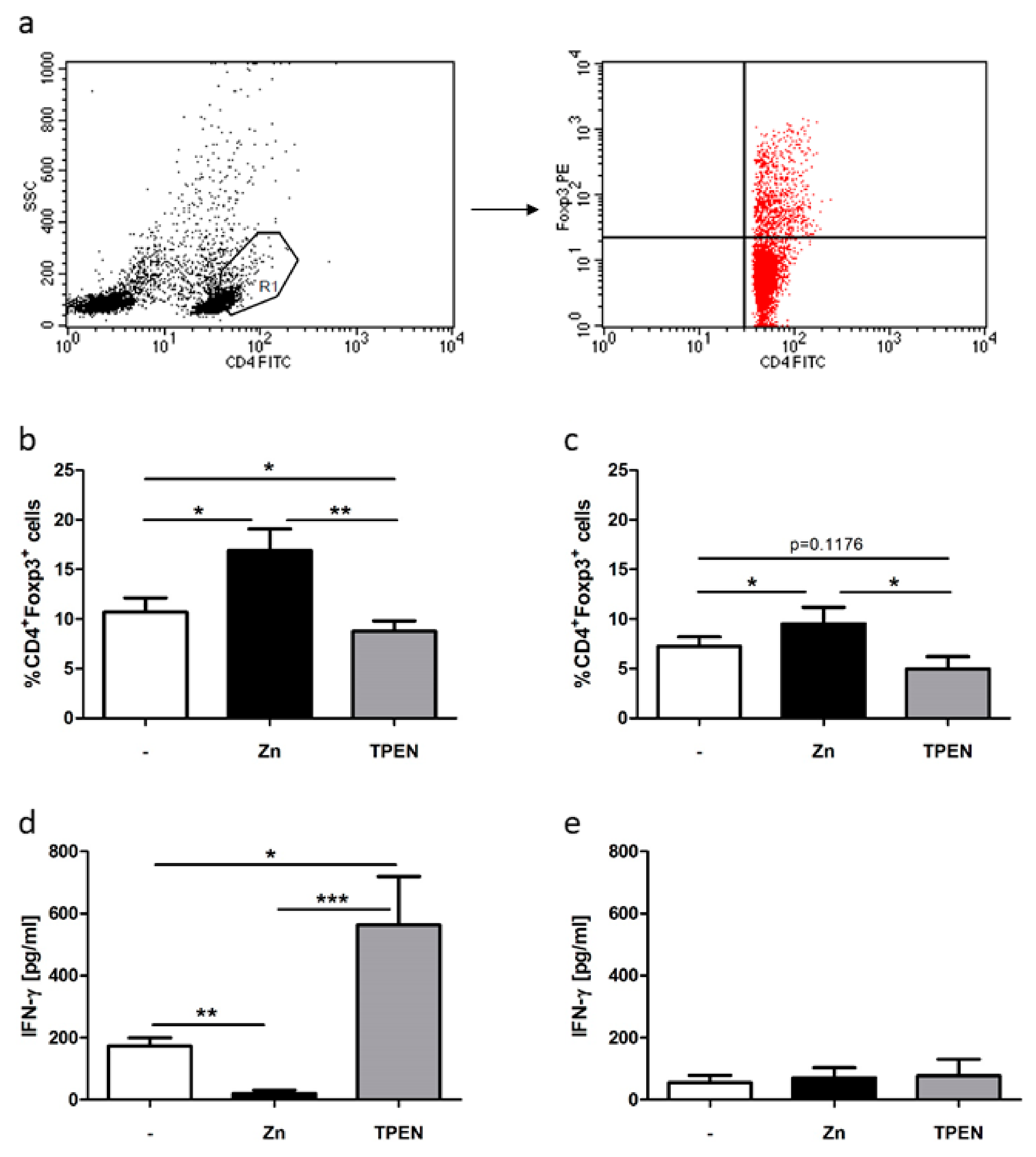 Ijms 19 03575 g002 Ijms 19 03575 g002