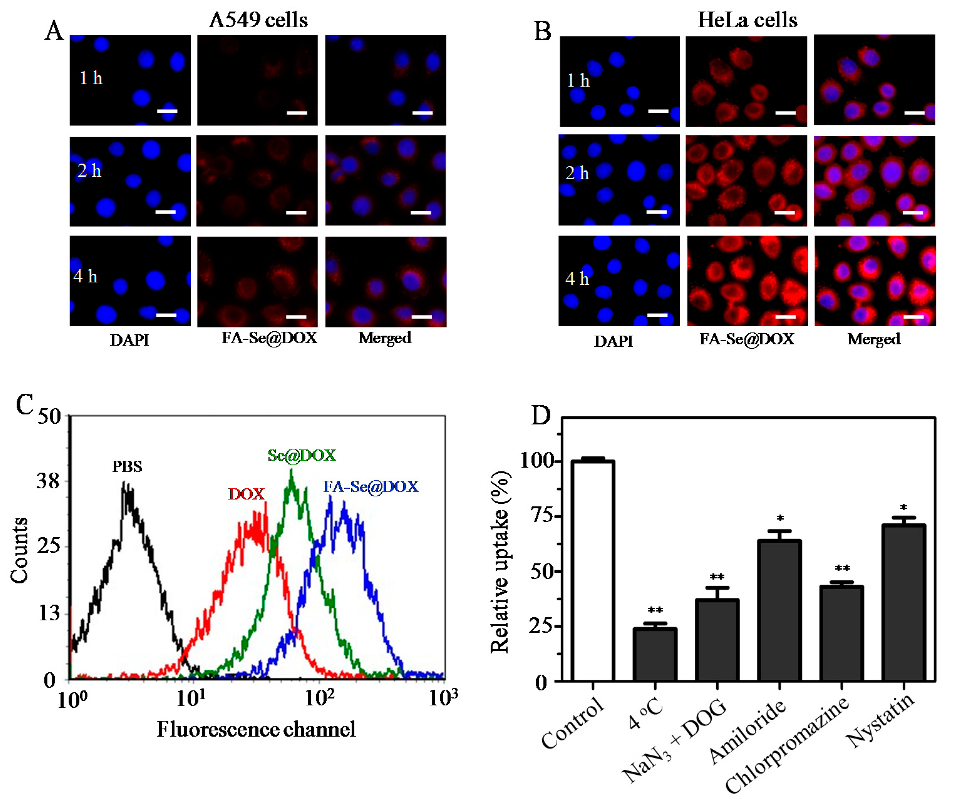 Ijms 19 03582 g003 Ijms 19 03582 g003