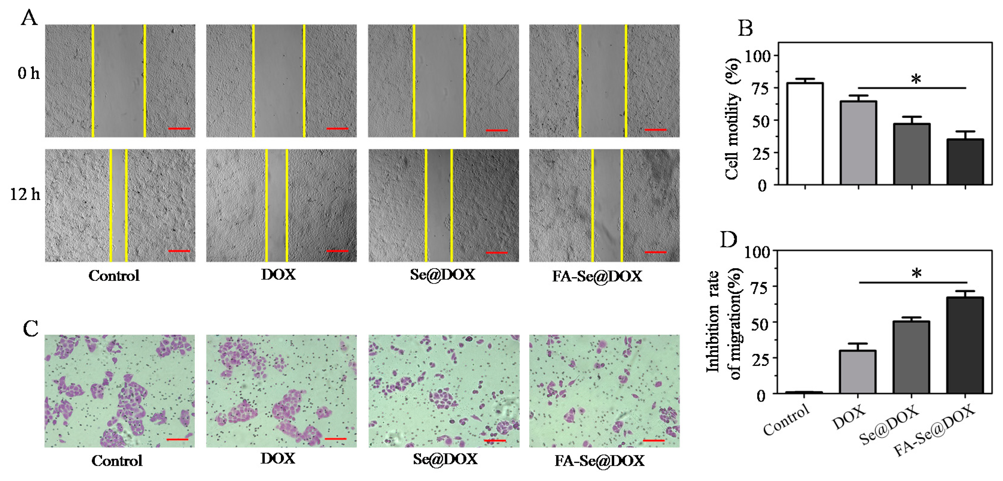 Ijms 19 03582 g005 Ijms 19 03582 g005