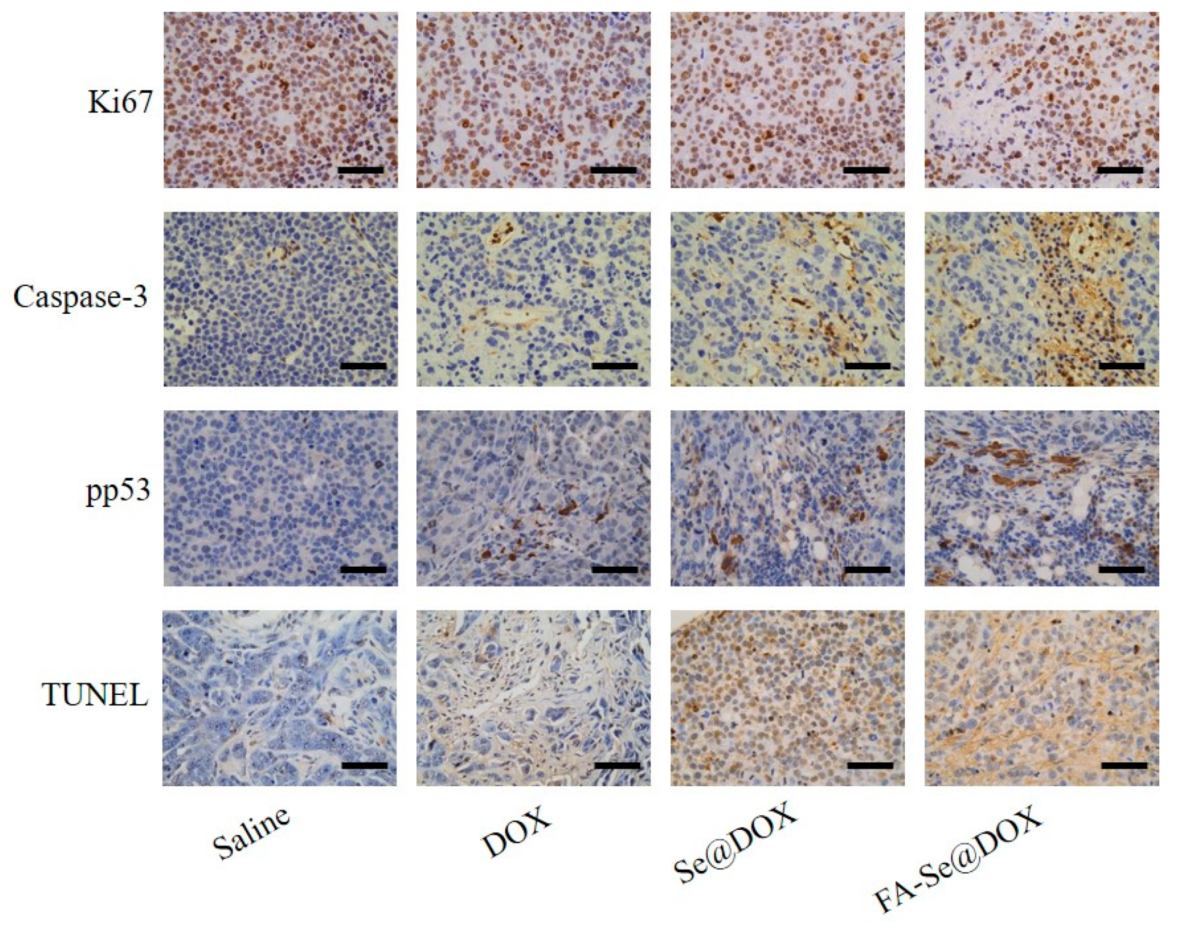 Ijms 19 03582 g009 Ijms 19 03582 g009