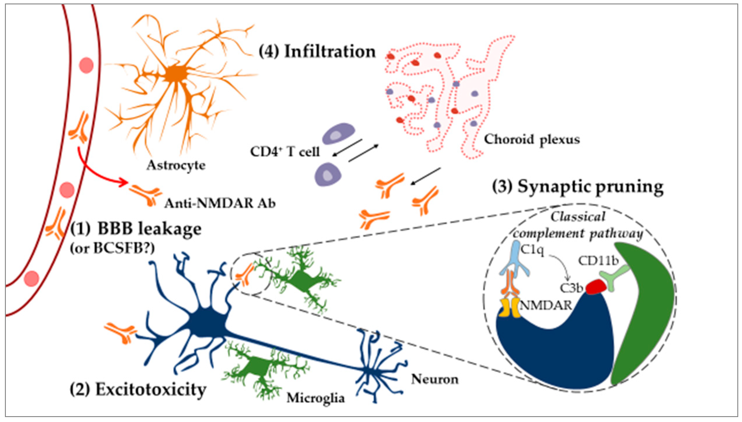 Neuroinflammation Neuroinflammation
