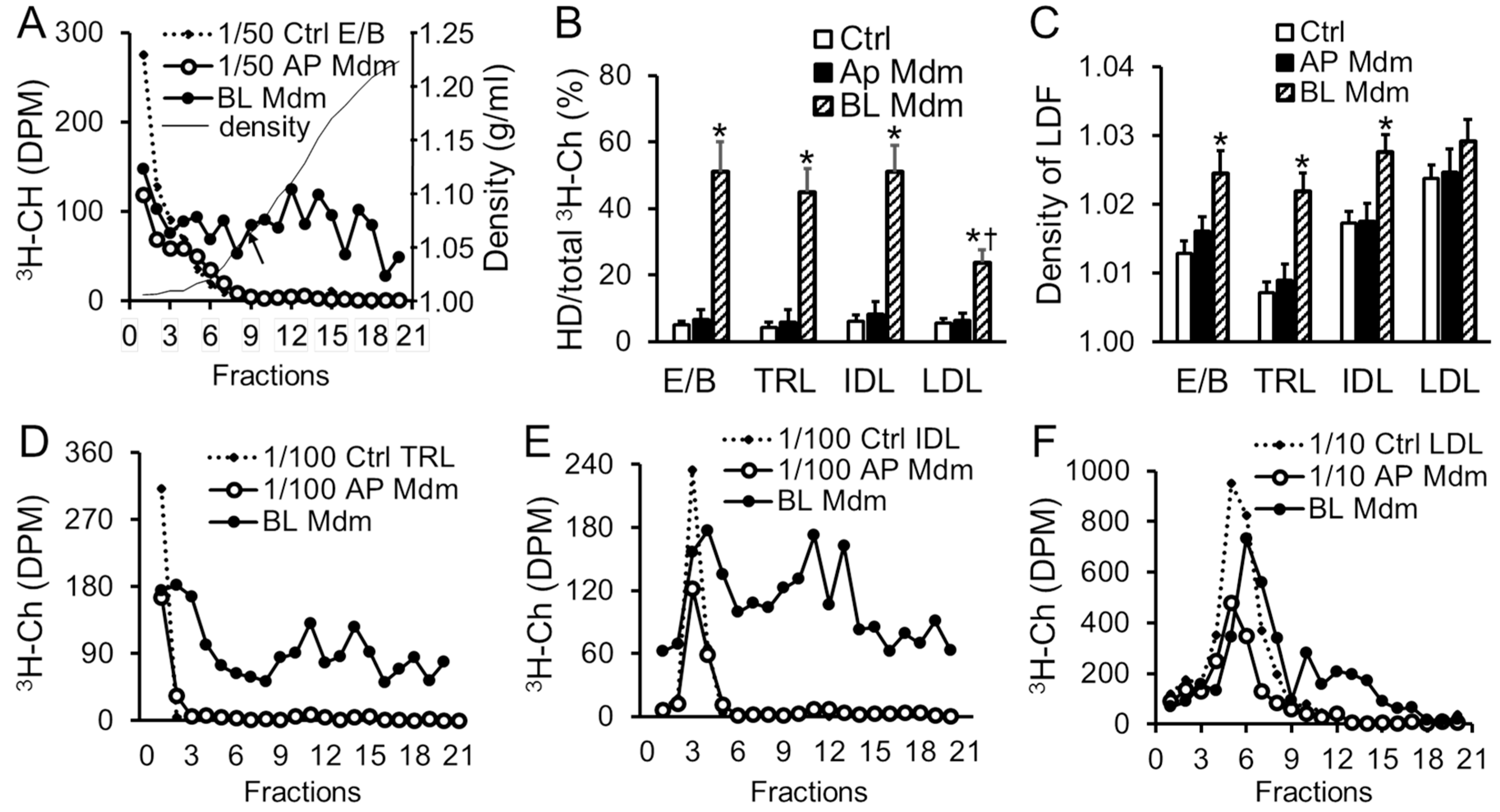 Ijms 19 03593 g003 Ijms 19 03593 g003