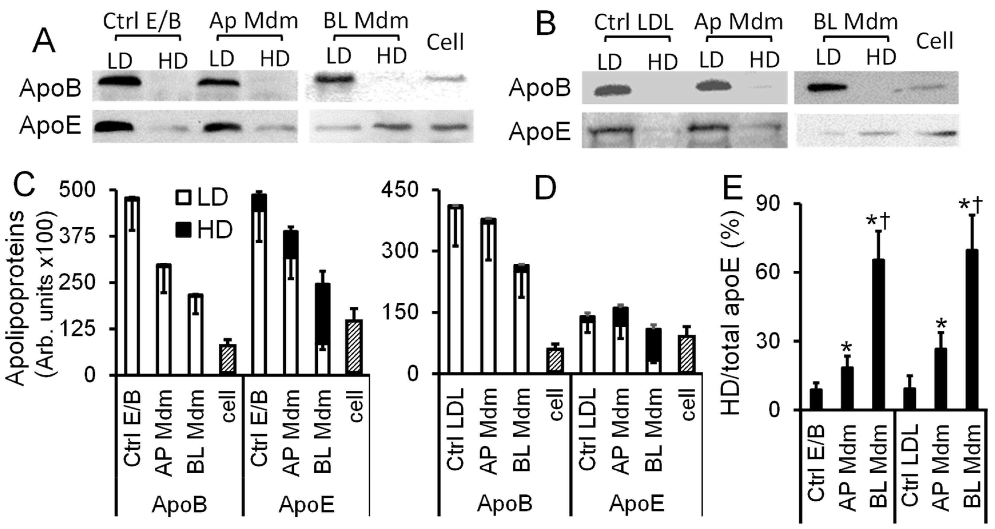 Ijms 19 03593 g004 Ijms 19 03593 g004