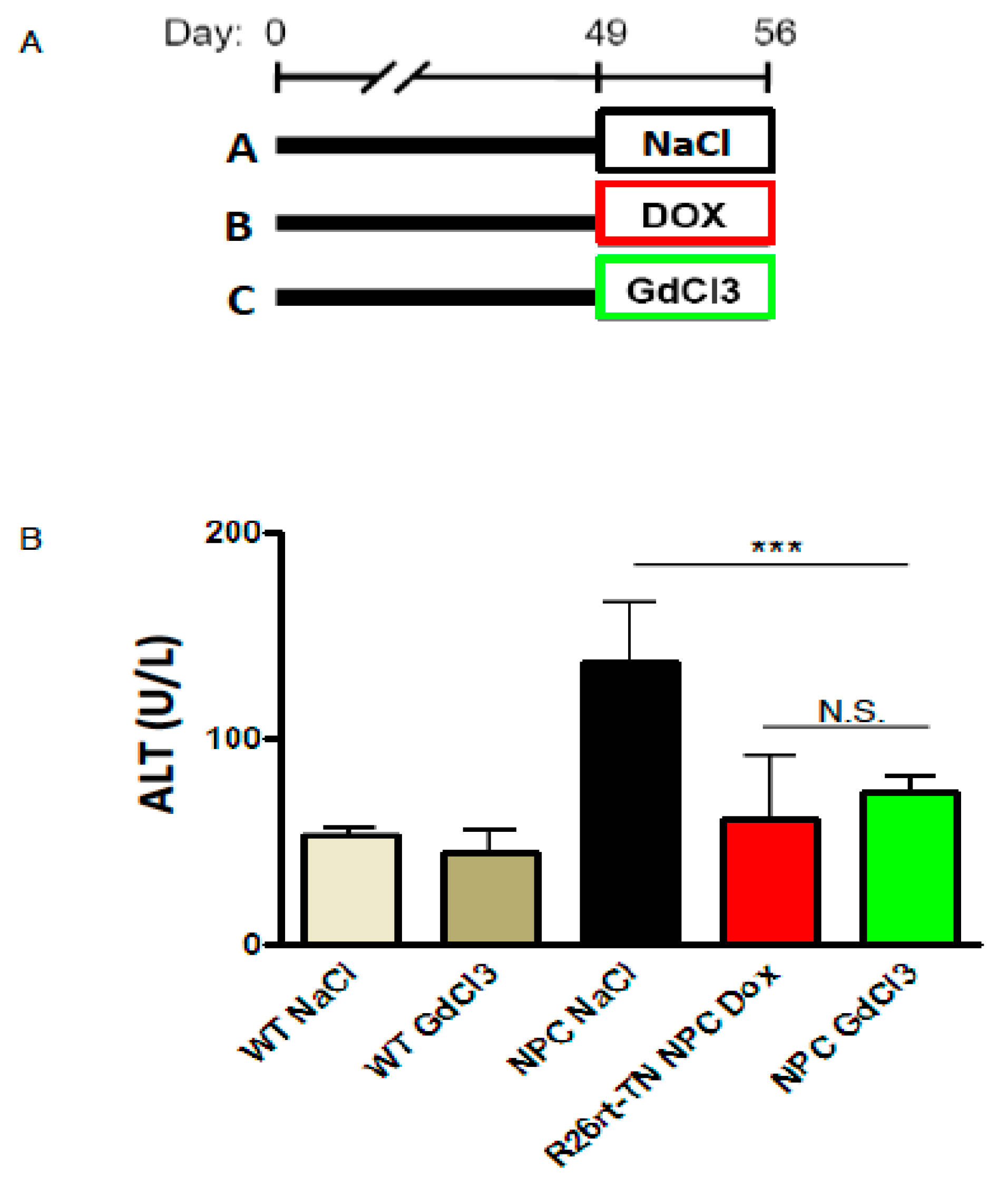 Ijms 19 03599 g004 Ijms 19 03599 g004