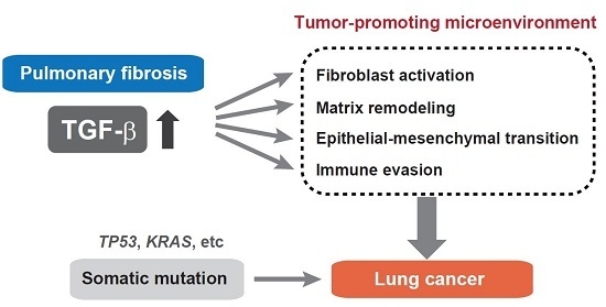 IJMS | Free Full-Text | The Role of TGF-β Signaling in Lung Cancer ...
