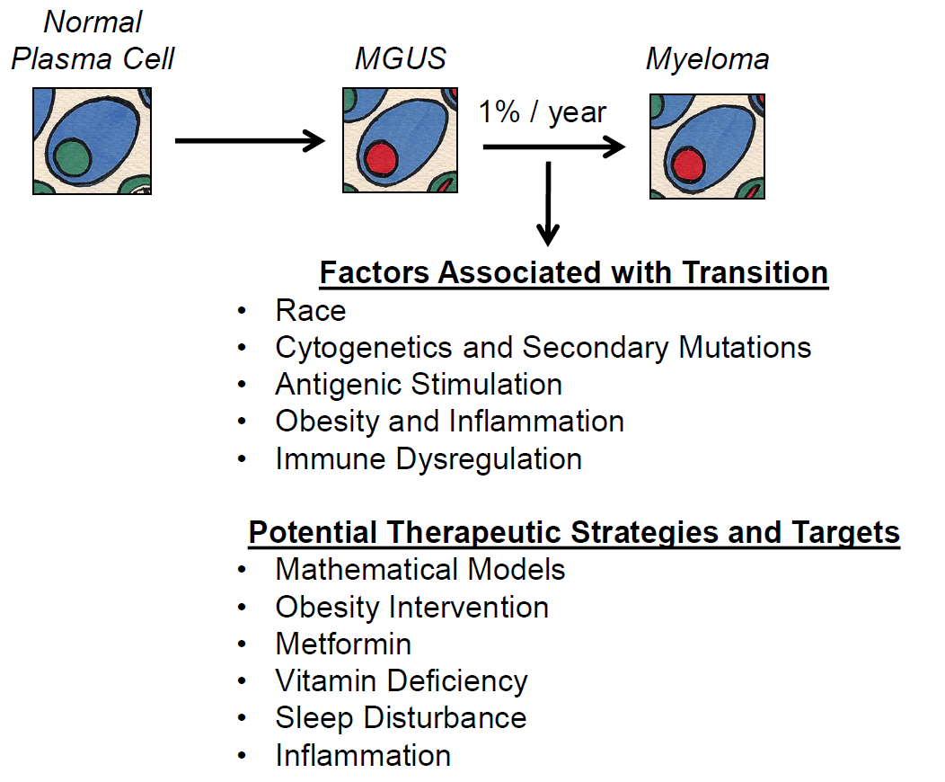 Ijms Free Full Text Prevention Is The Best Treatment The Case For Understanding The Transition From Monoclonal Gammopathy Of Undetermined Significance To Myeloma Html