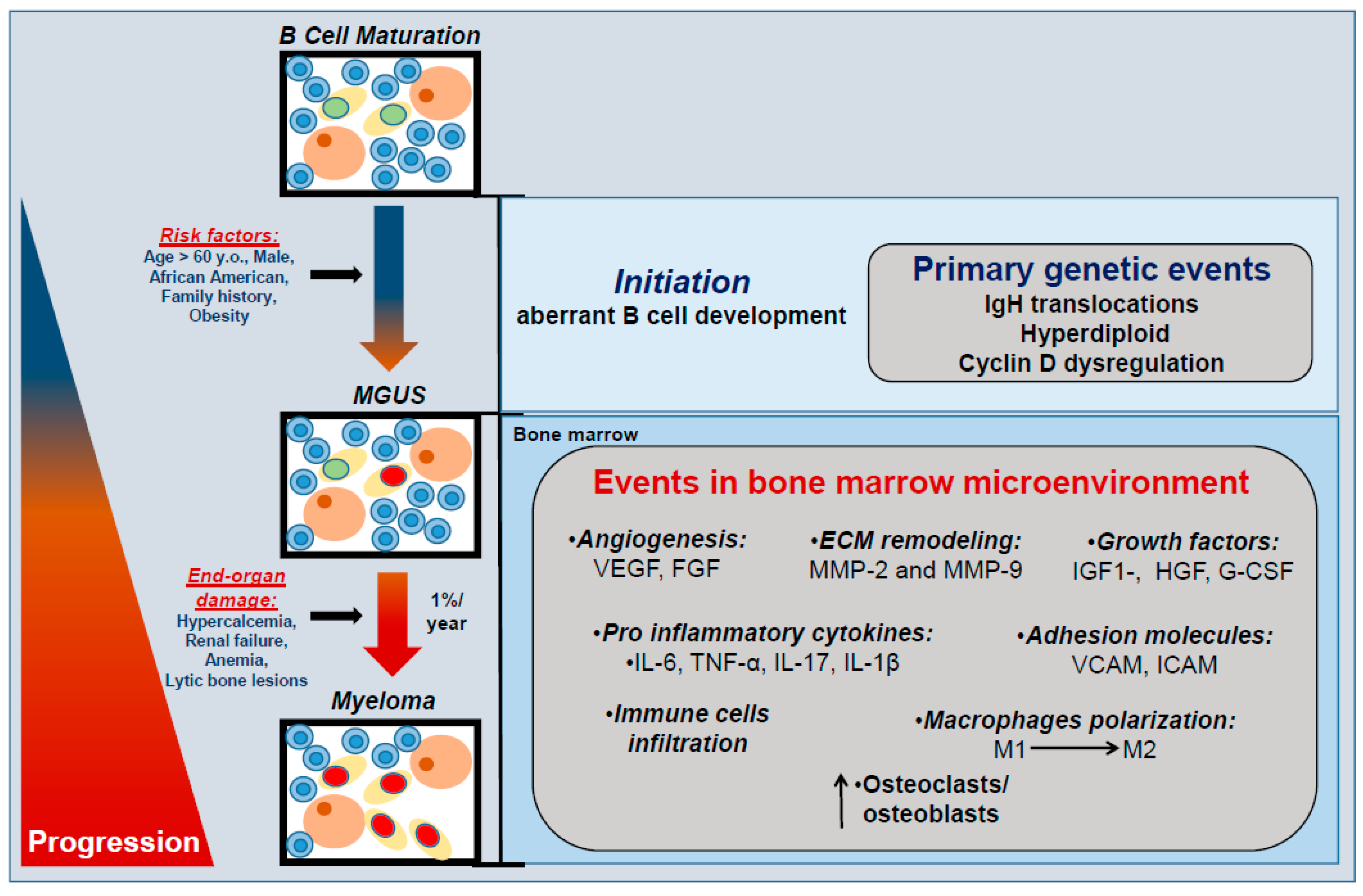 IJMS | Full-Text | Prevention Is the Best Treatment: The Case for Understanding the from Monoclonal Gammopathy of Undetermined Significance to Myeloma