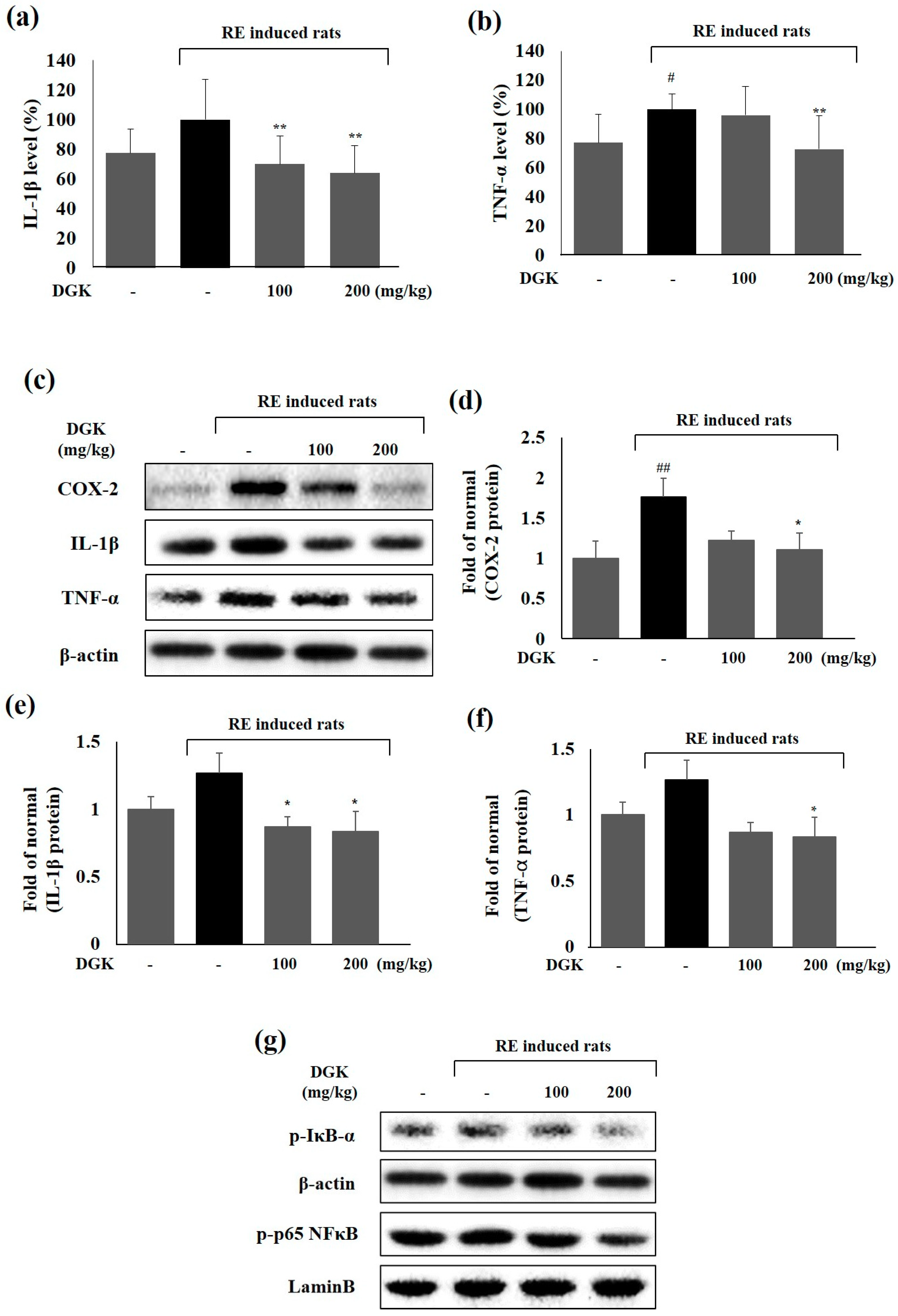 Ijms 19 03622 g005a Ijms 19 03622 g005a