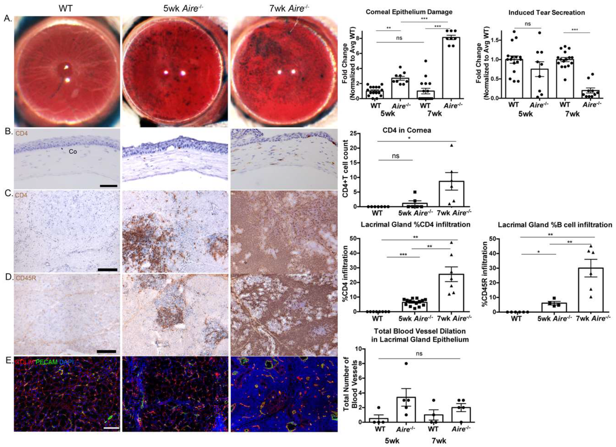 Ijms 19 03628 g001 Ijms 19 03628 g001