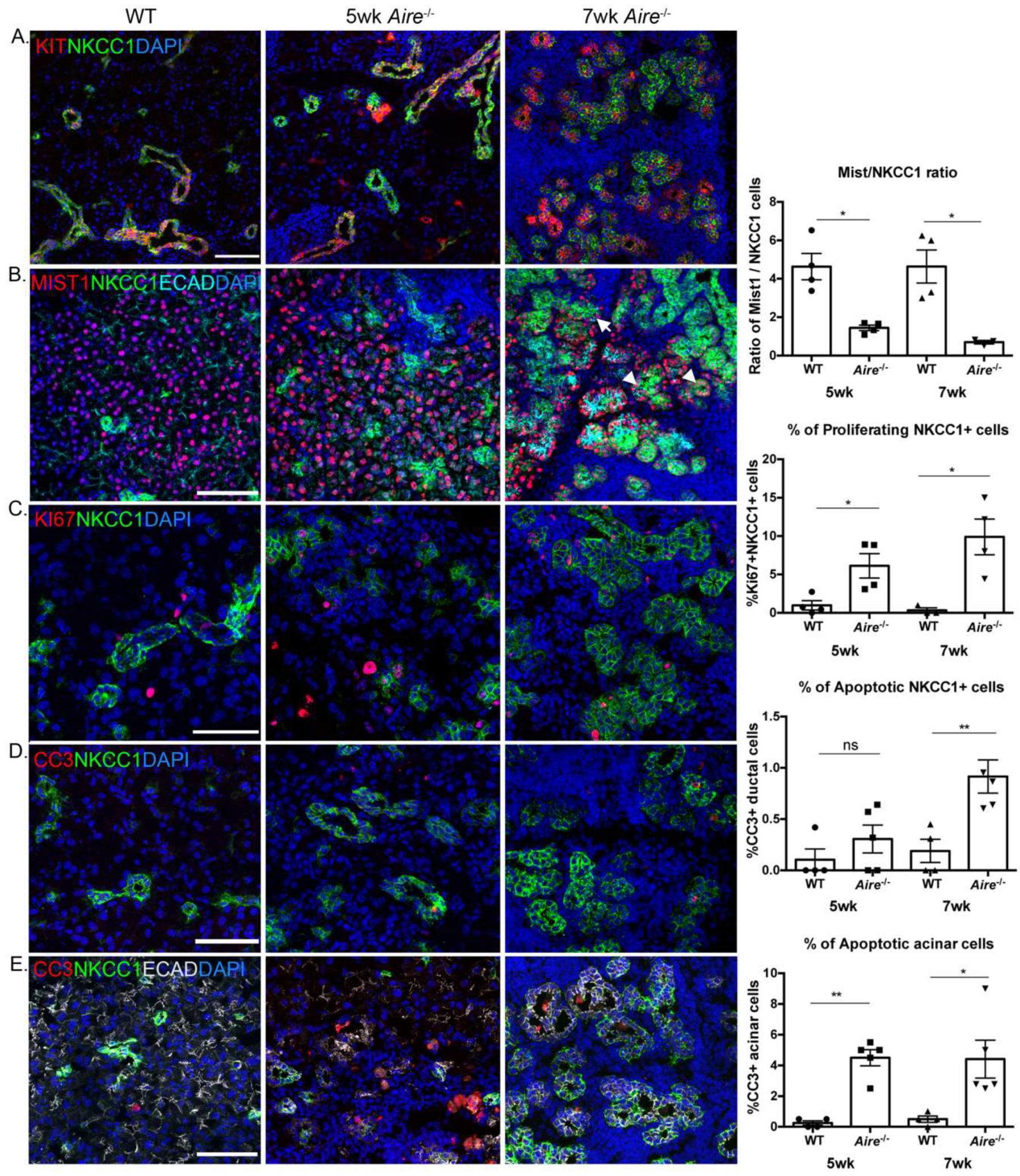 Ijms 19 03628 g003 Ijms 19 03628 g003